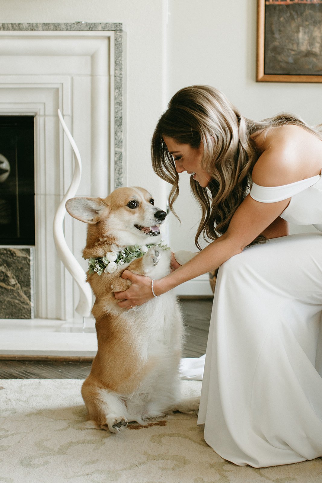  A bride wearing Alyssa Kristin Camila wedding dress sitting in a chair in front of a fire place. She is petting a corgi sitting on his hind legs wearing a floral wedding collar. 