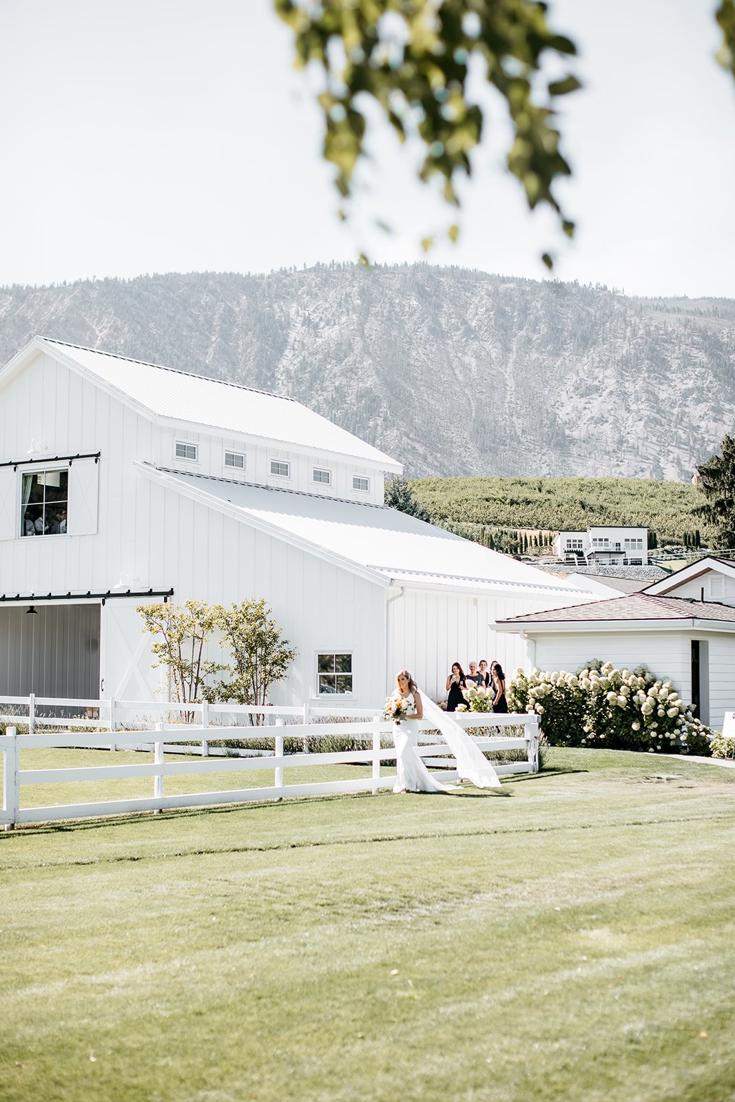  The bride walking through the grass in Alyssa Kristin Maven wedding dress at the Harmony Meadows wedding venue in Manson, Washington mountains. 