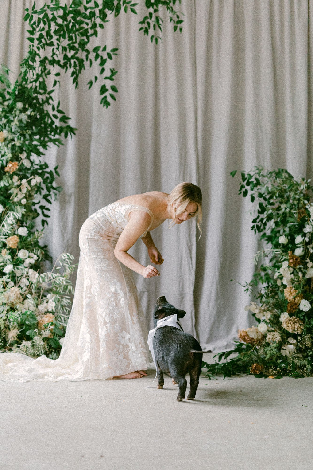  a bride wearing the lovely Elsie wedding dress by made with love bridal giving a treat to a mini pig 