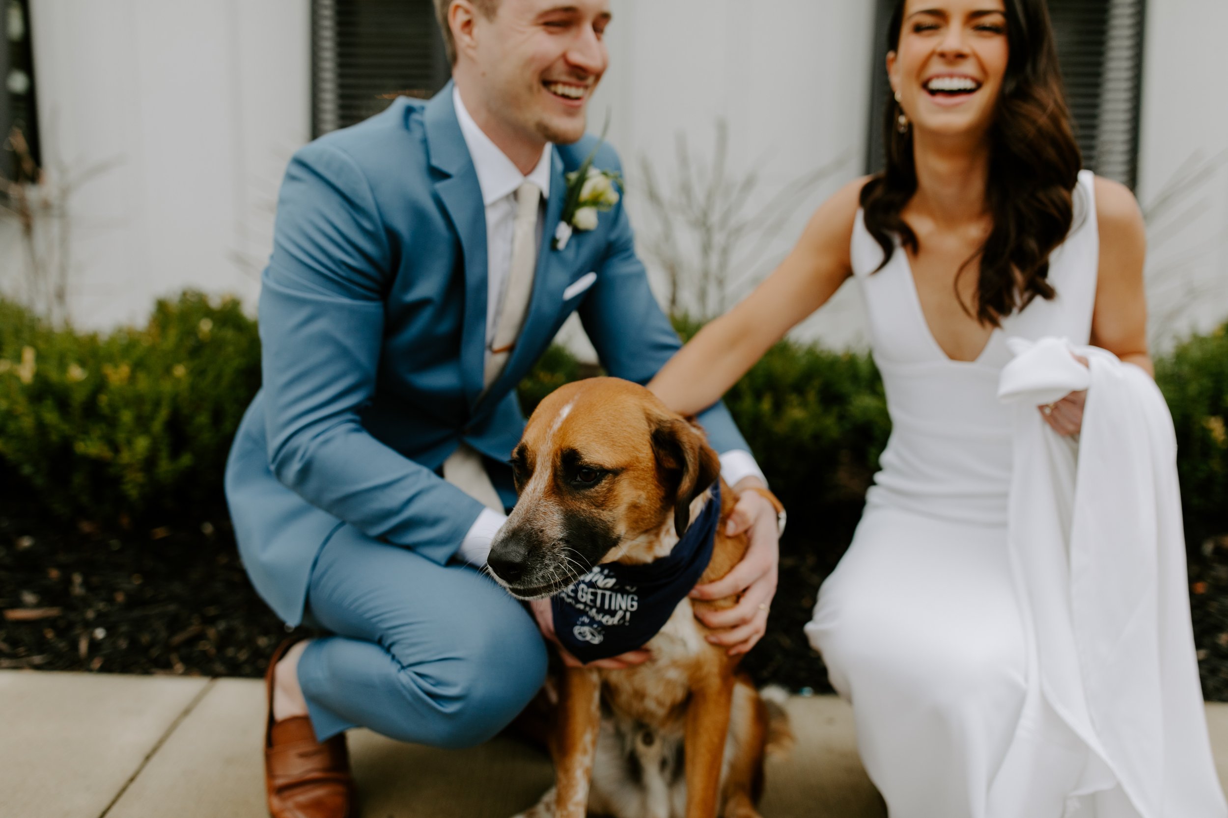 bride and groom with thier beloved dog on thier modern minimalist wedding day