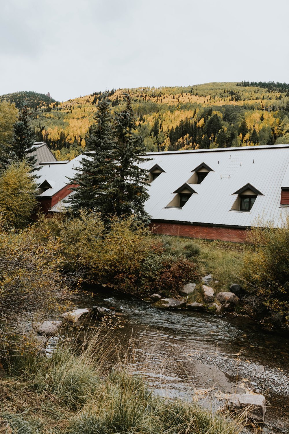  A lovely fall image of the mountains in telluride, colorado with shades of yellow and green foliage and a serene creek bed 