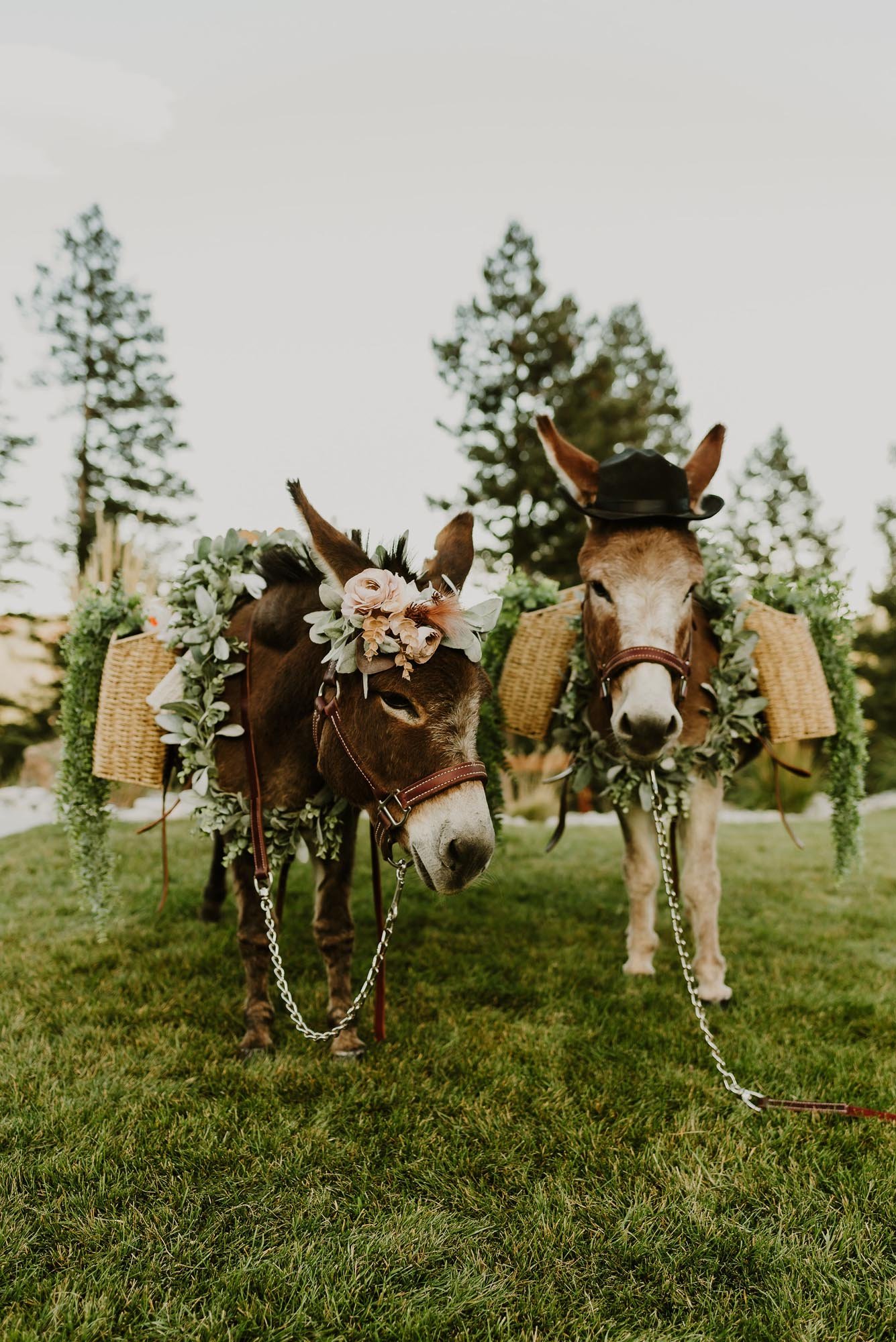 Woodlands-Colorado-Wedding-in-Anais-Anette-26.jpg