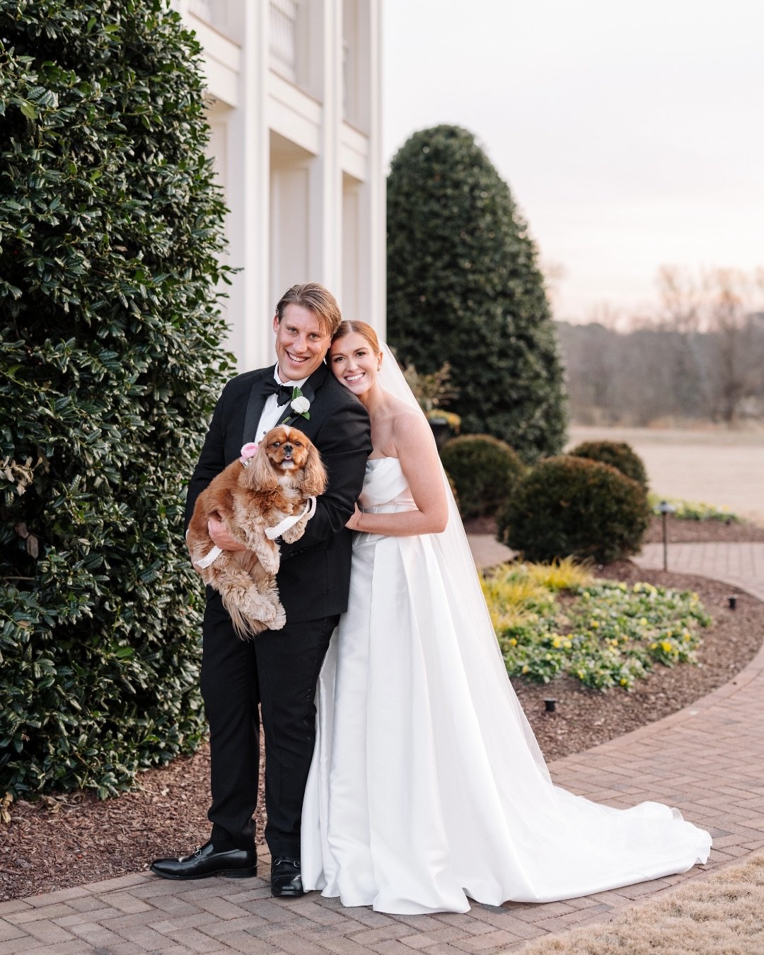 congratulations to this beautiful a&amp;b&eacute; raleigh bride gwen &amp; ryan, featuring @mwlbride &amp; the cutest pup 🥺🤍

dress | celine by @mwlbride via a&amp;b&eacute; #raleigh
photographer | @daisephotography
venue | @donovanmanor
planning |