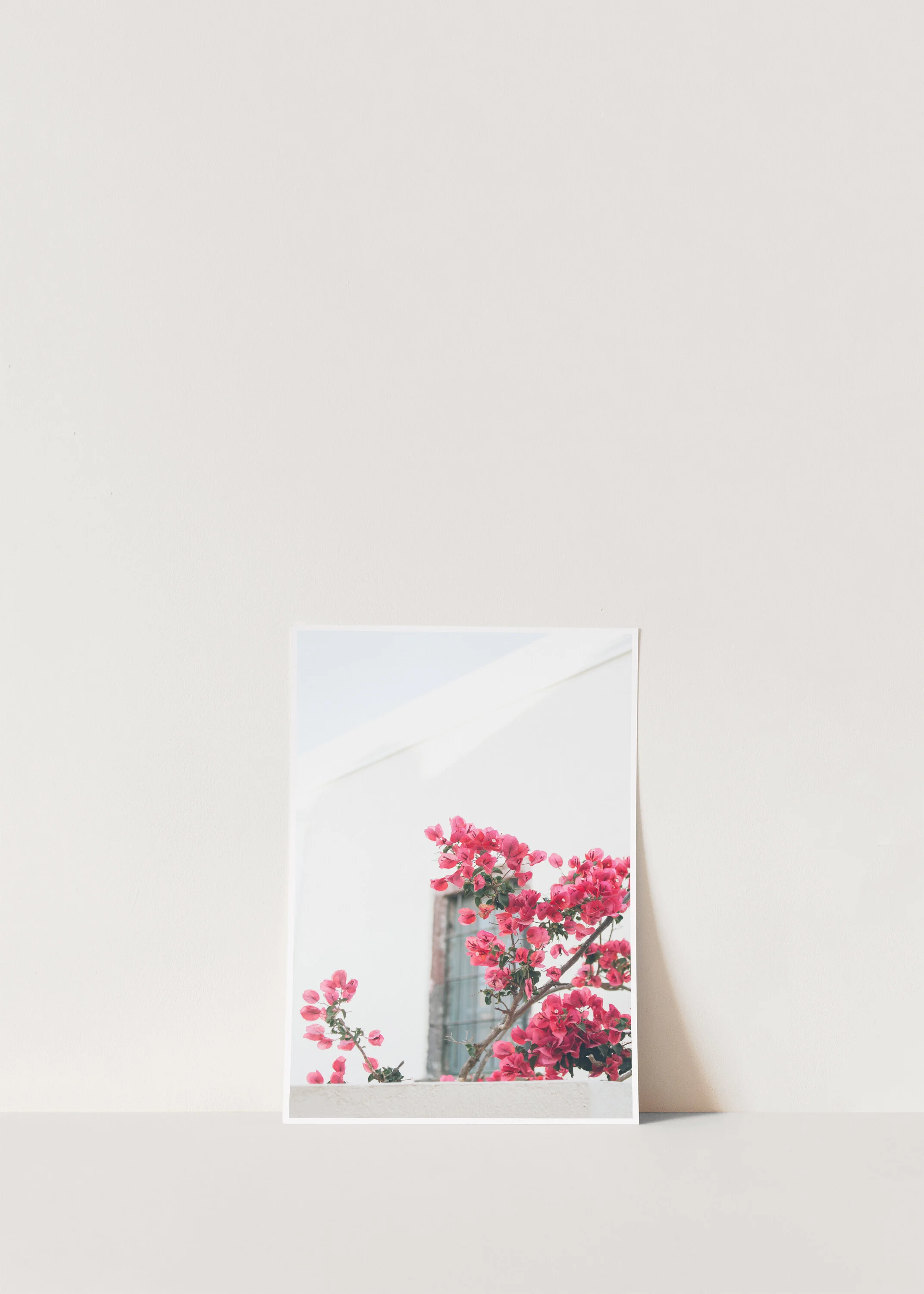 Santorini_Blooms_Print copy.jpg