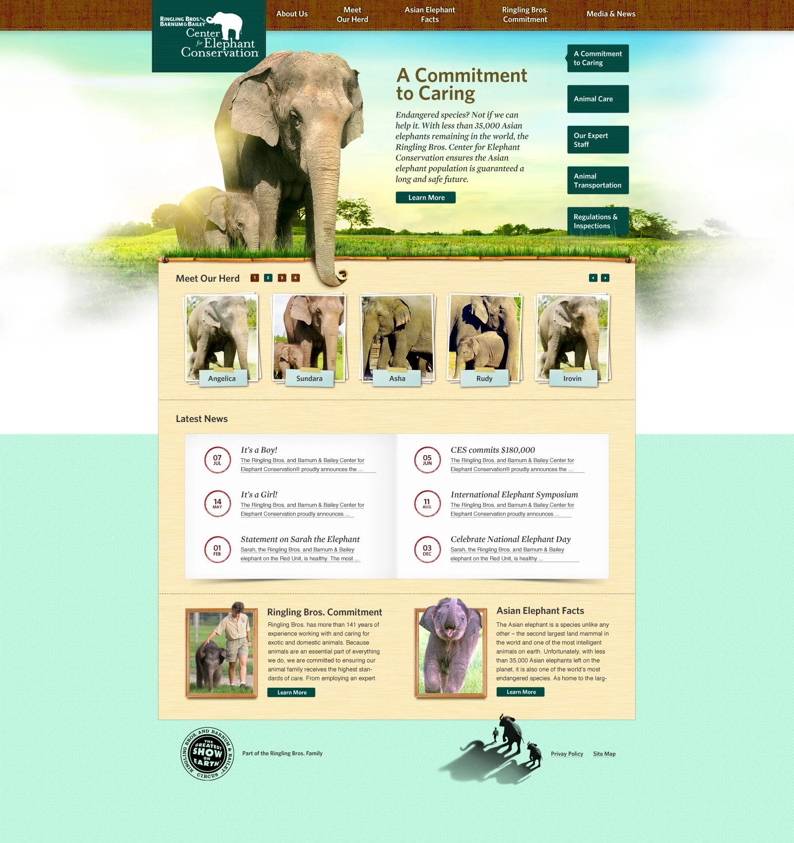 FELD_ElephantConservatory_HomepageB_01.jpg