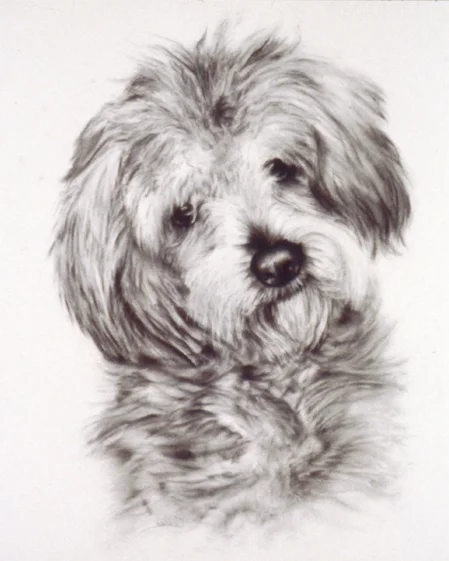 Portrait of Dog