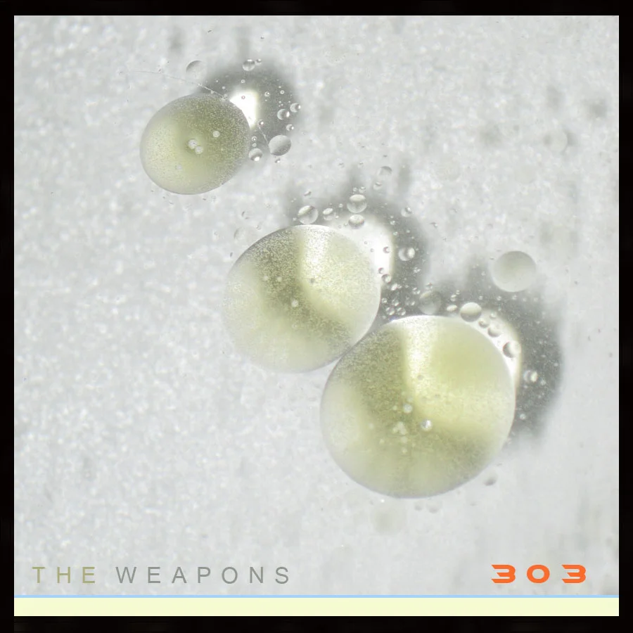 weaponswebalt copy.jpg