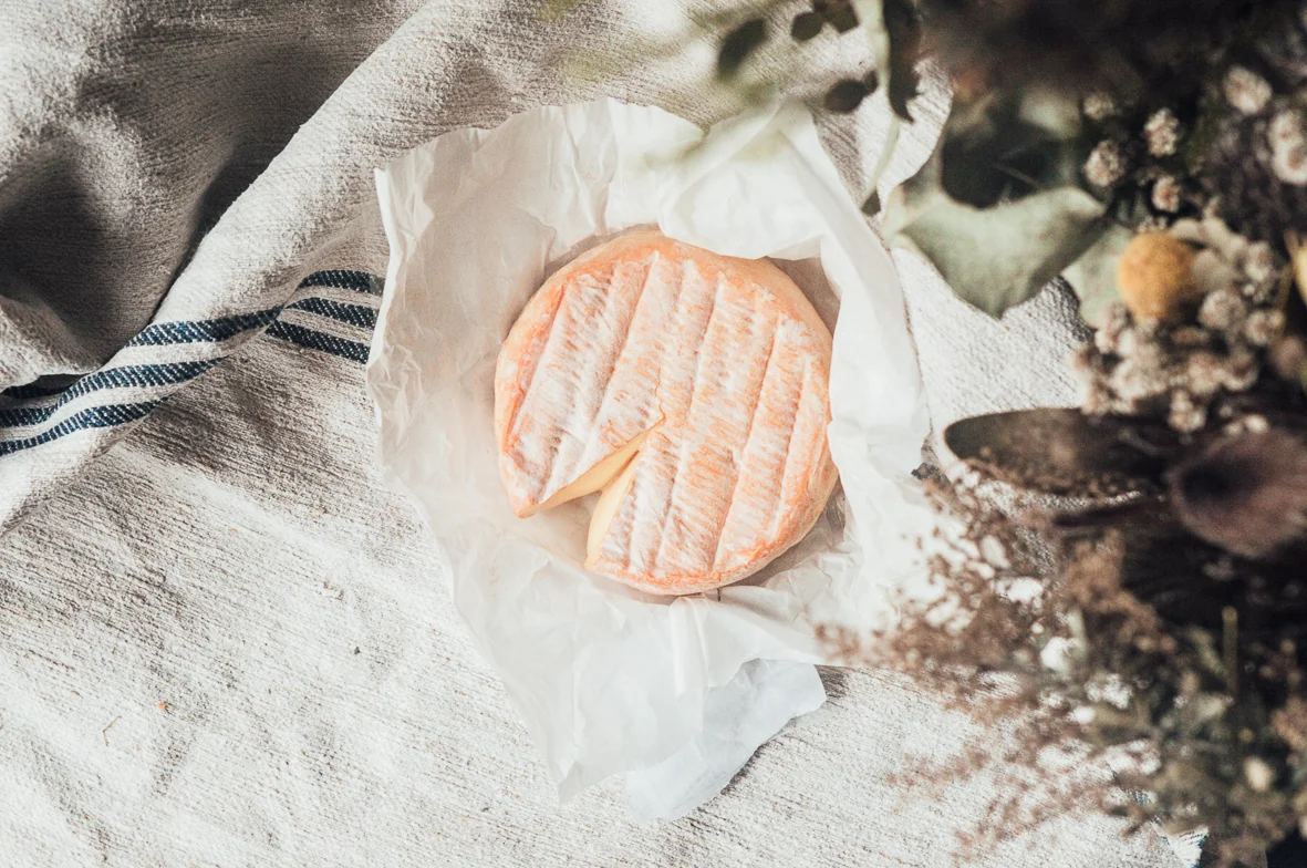 Jennifer Hillhouse | Woombye Cheese