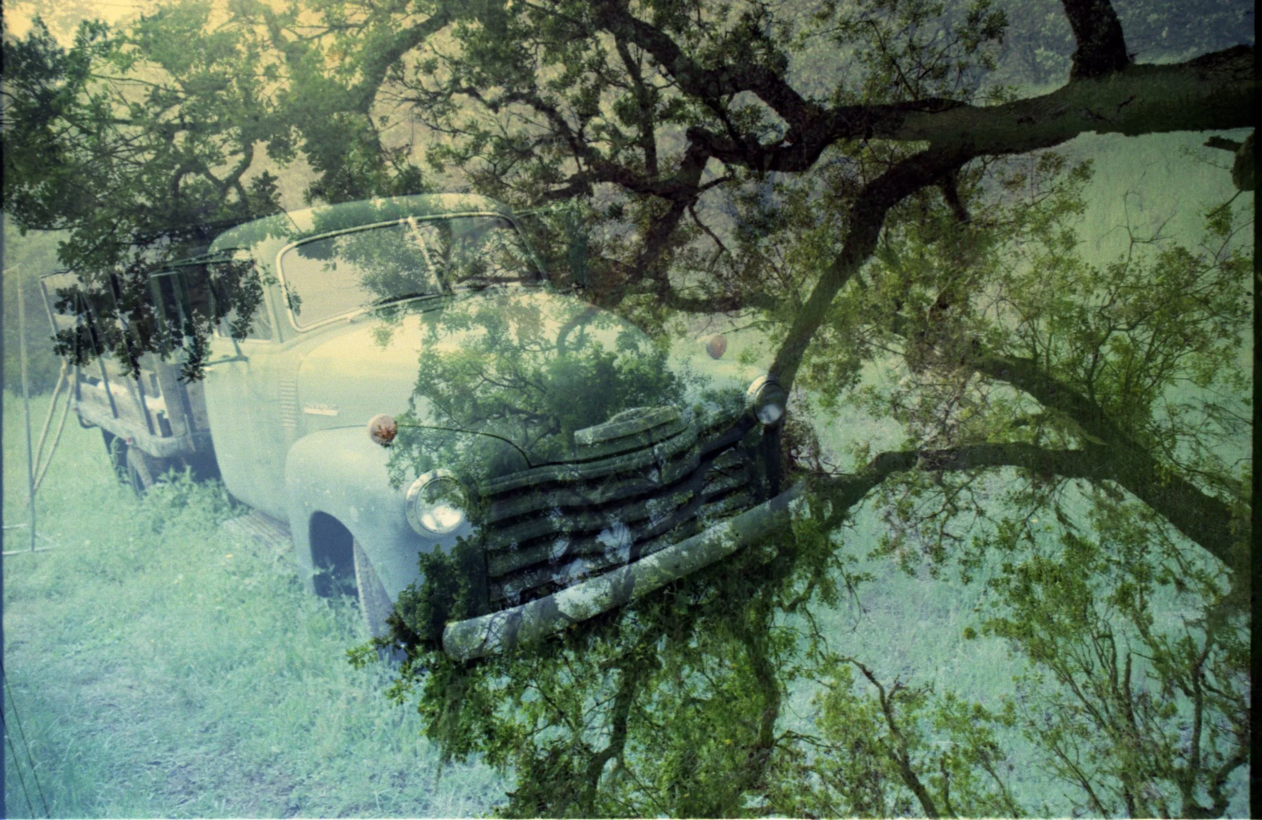 tree:truck022 copy.jpg