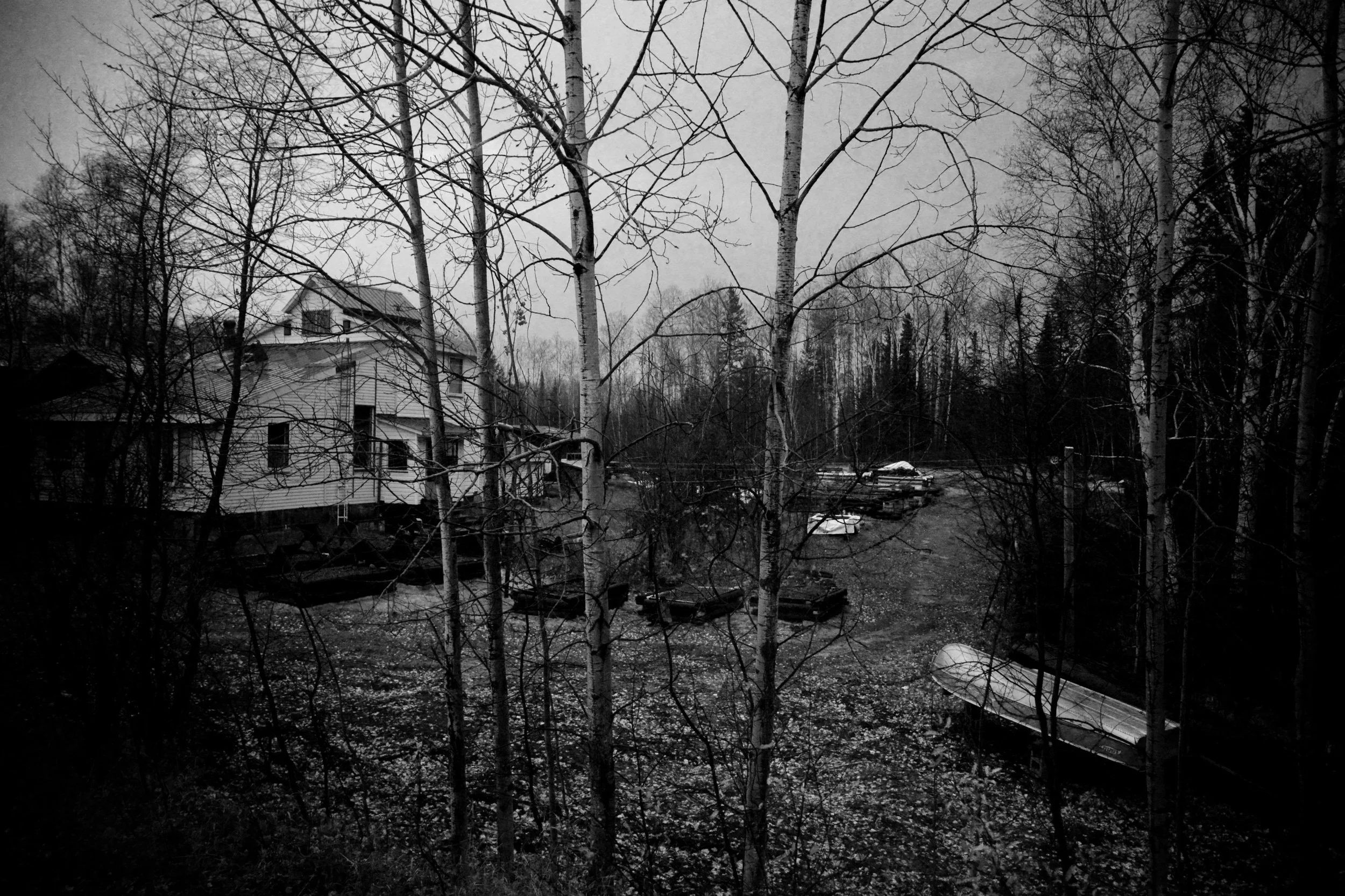 DSC_0087.jpg