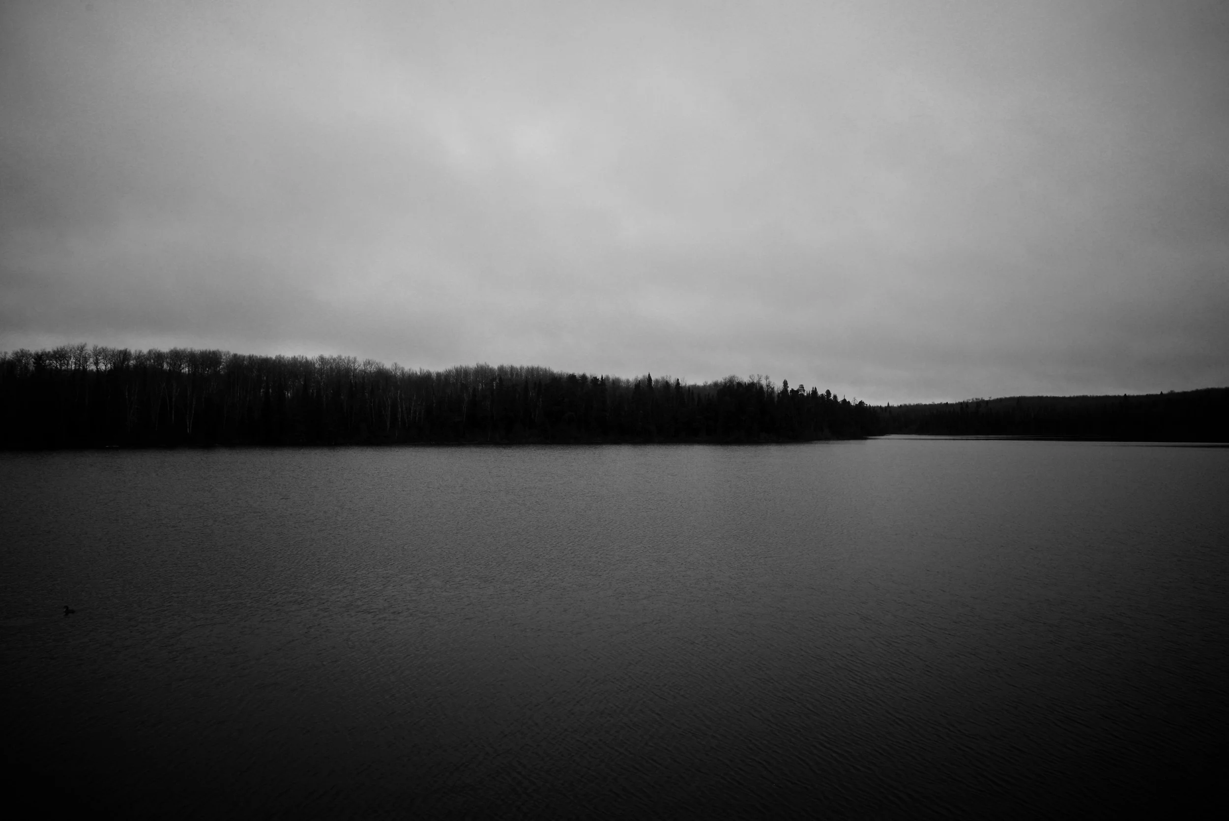 DSC_0097.jpg