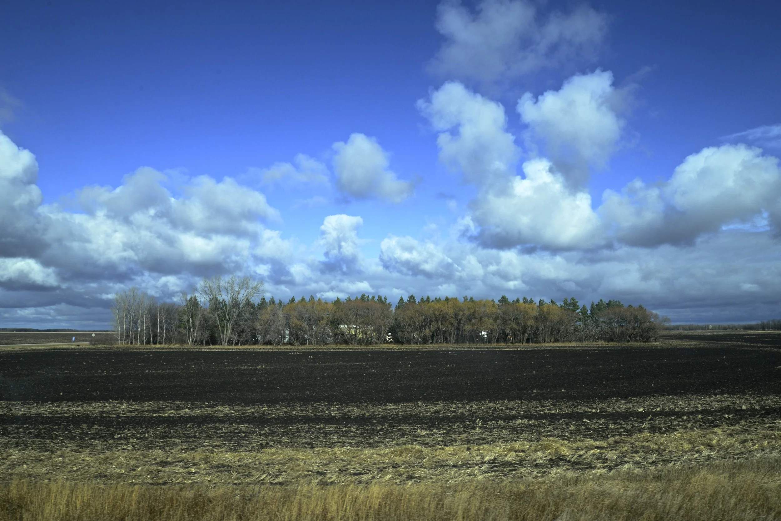 DSC_0131.jpg