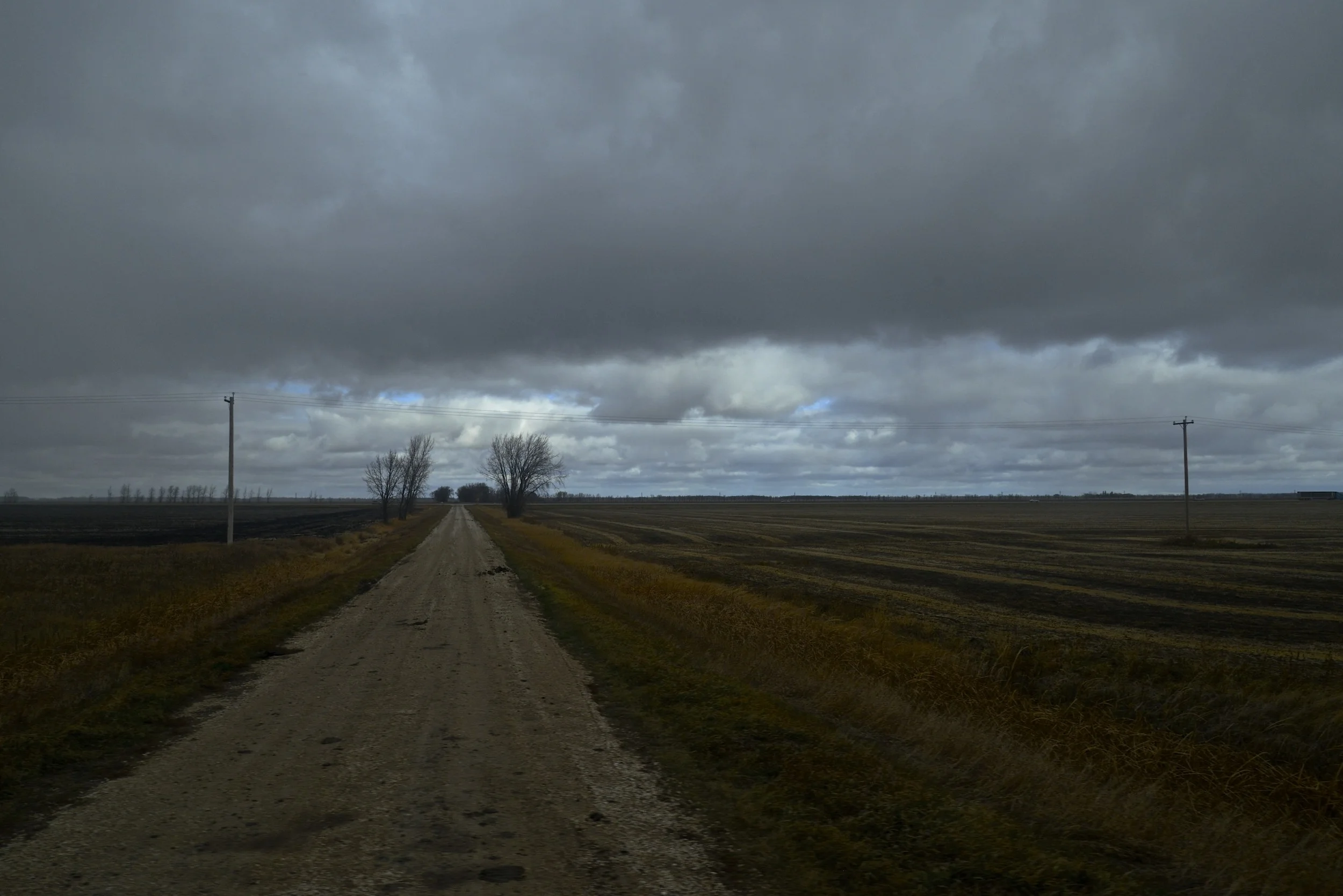 DSC_0139.jpg