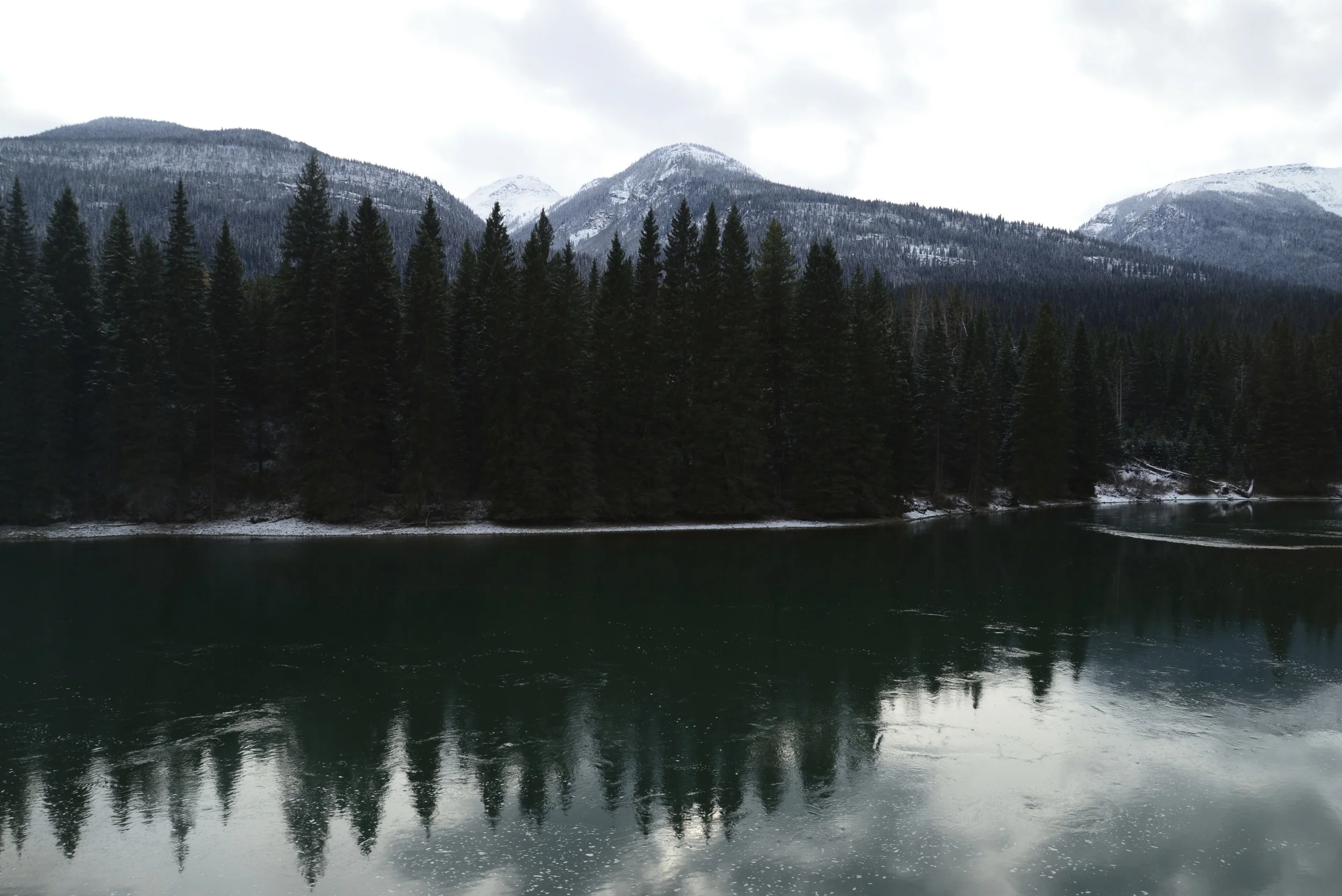 DSC_0236.jpg