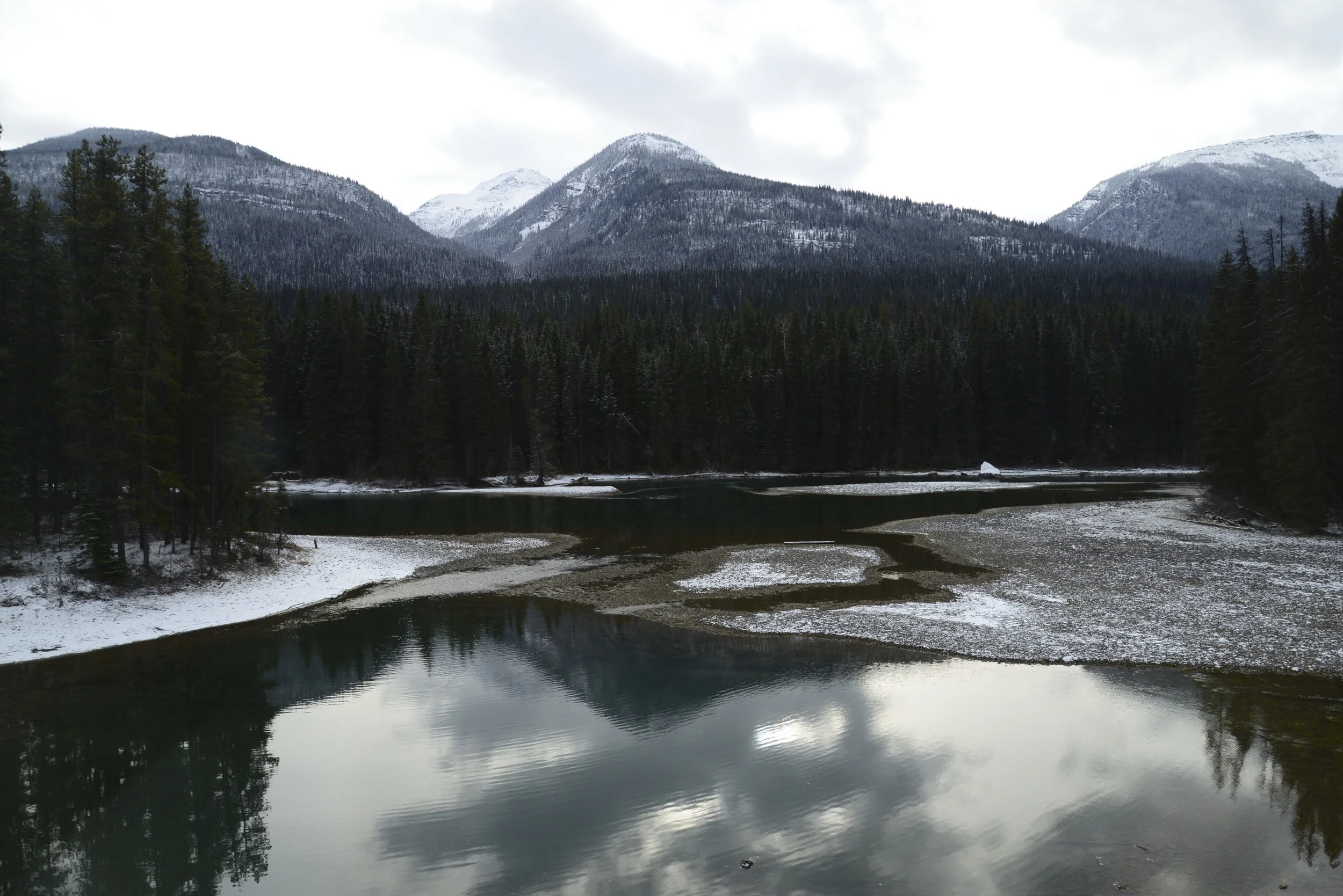 DSC_0238.jpg