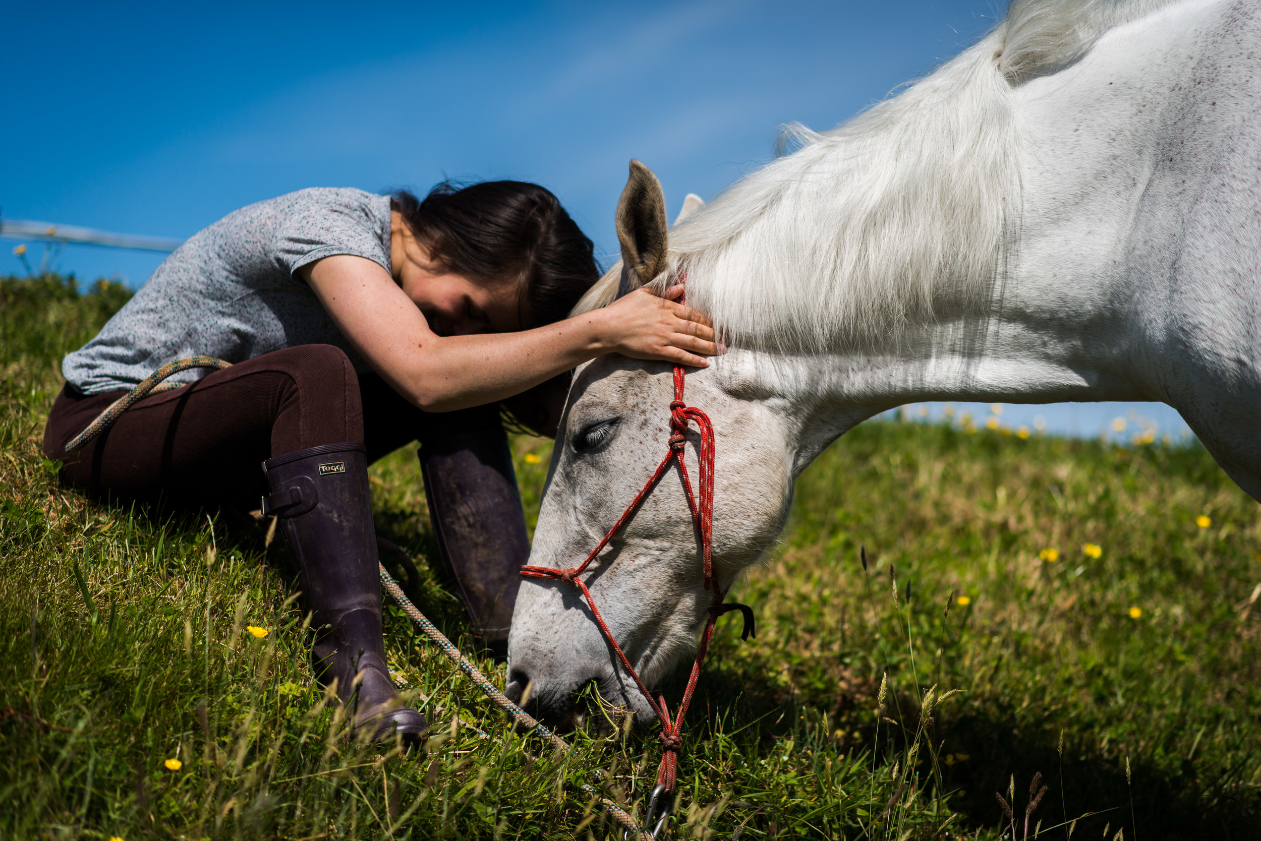 PLP_Horses_JessD_15-14.jpg