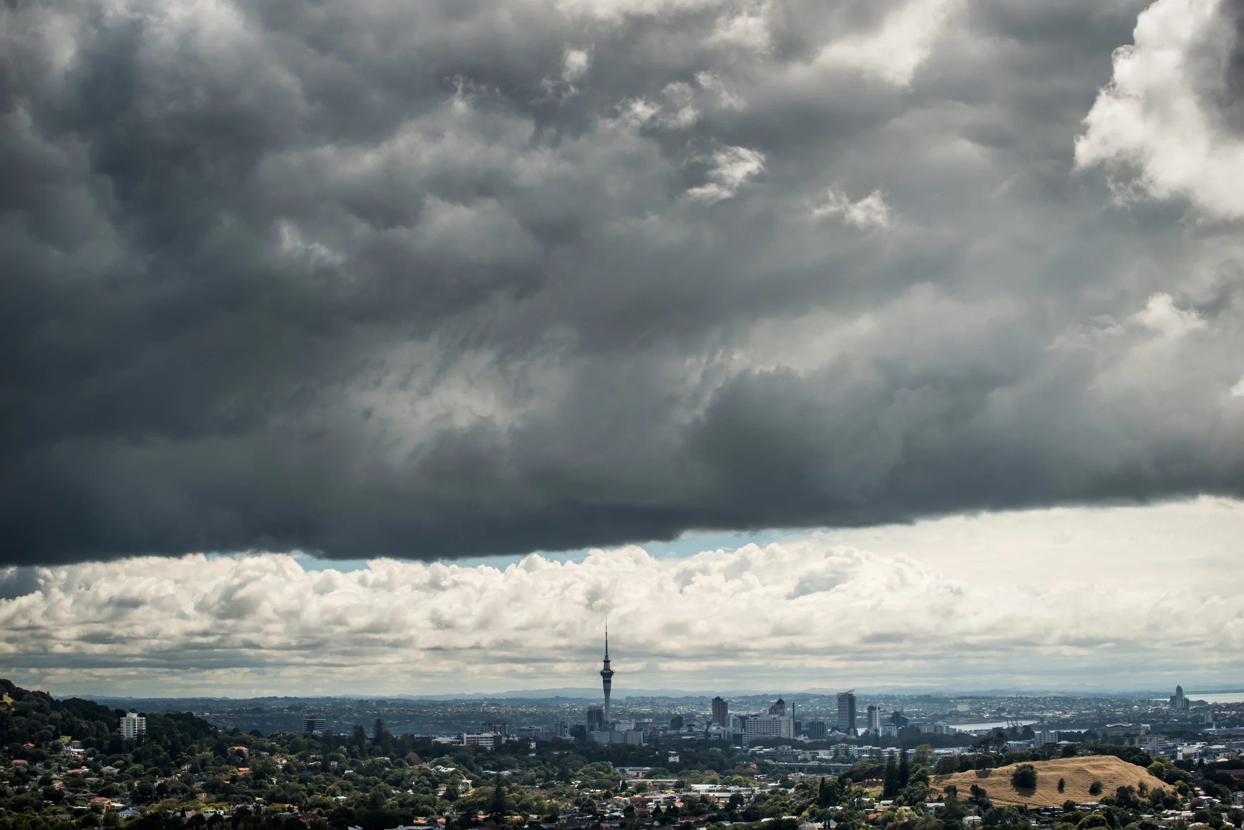 Auckland1-2.jpg