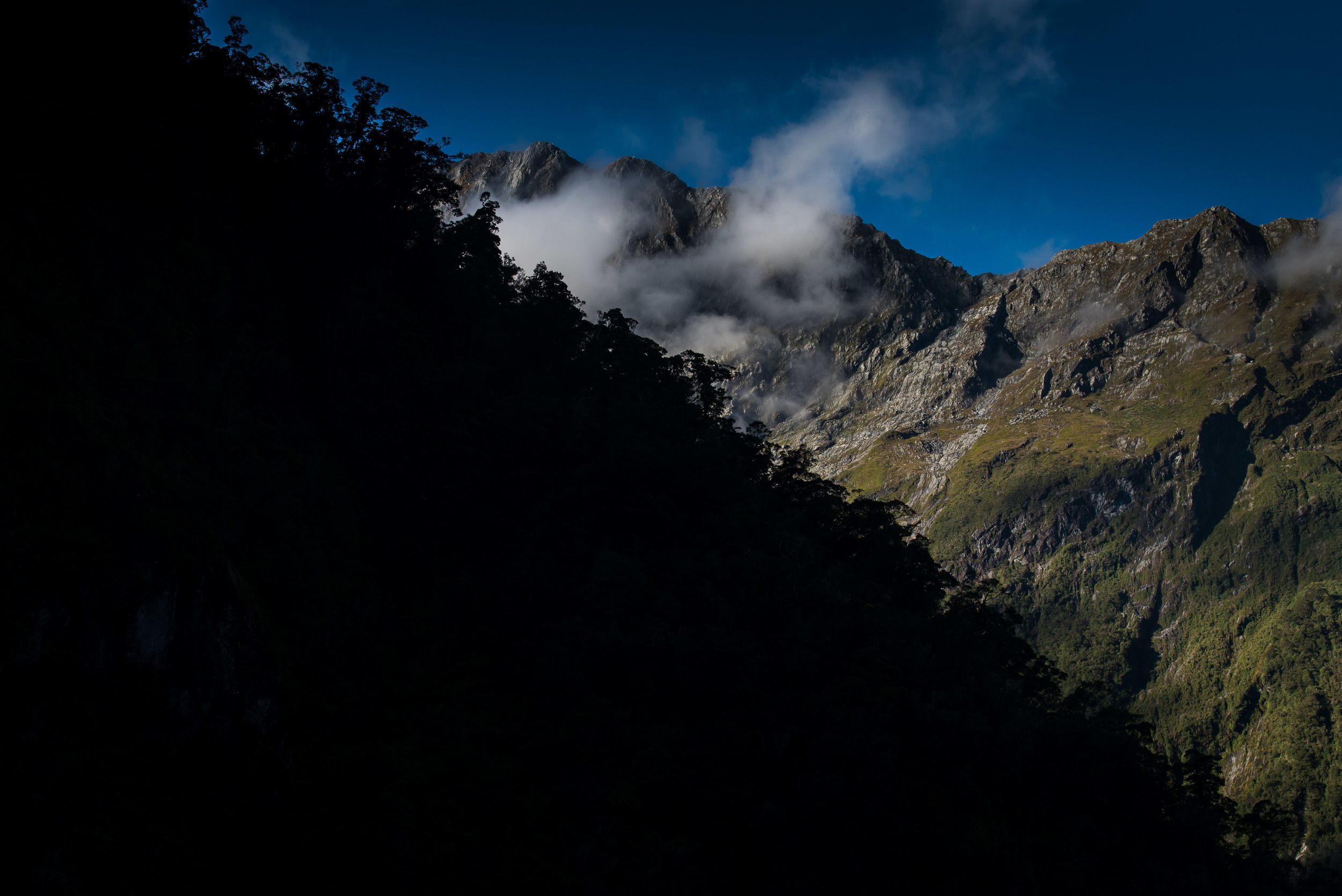 Milford_Sound_15-38.jpg