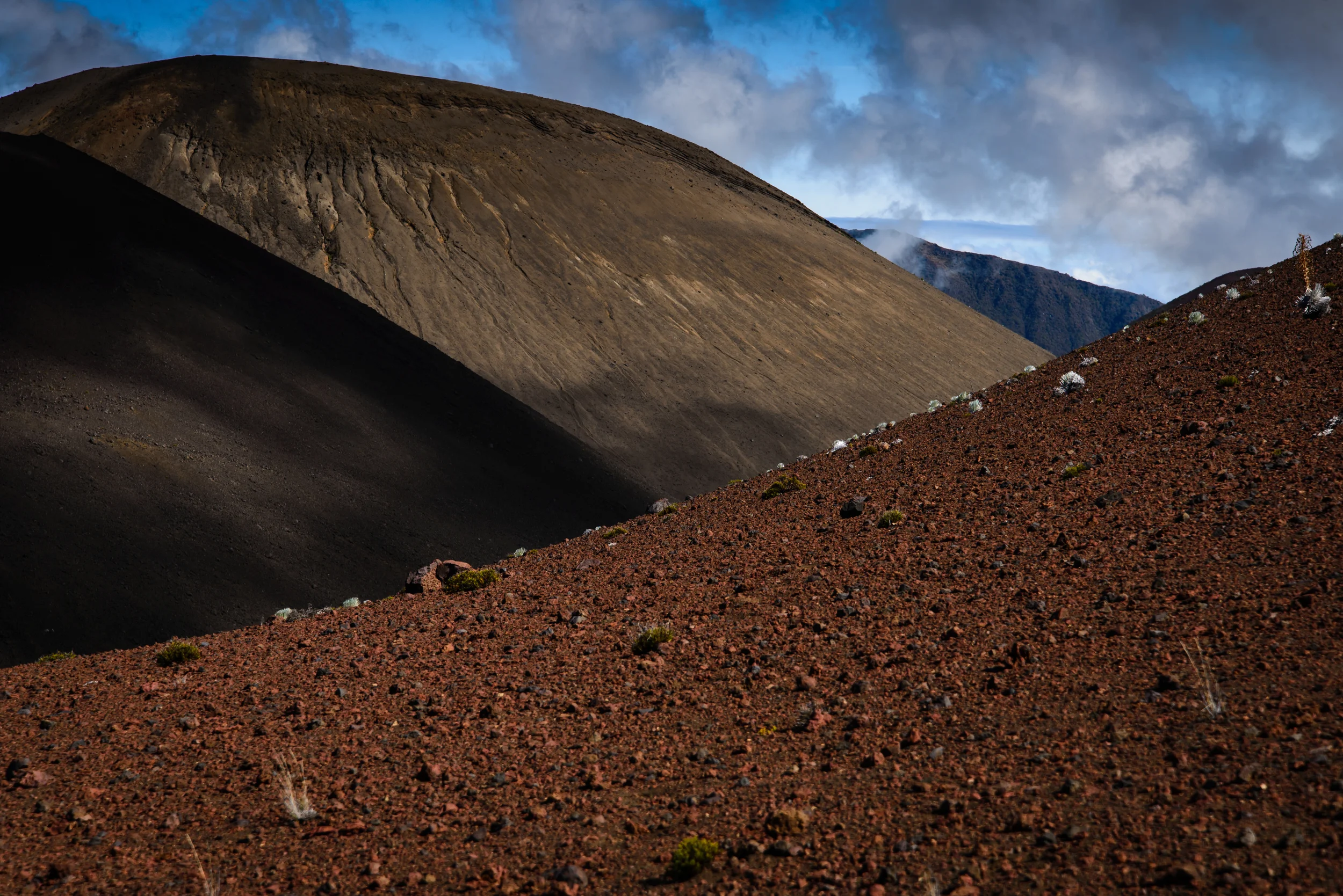 PLP_Hawaii_2014-5.jpg