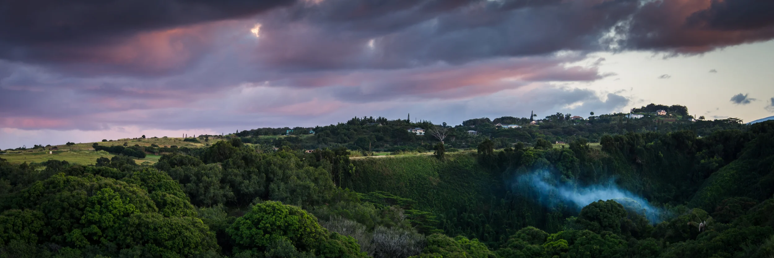 PLP_Hawaii_2014-16.jpg