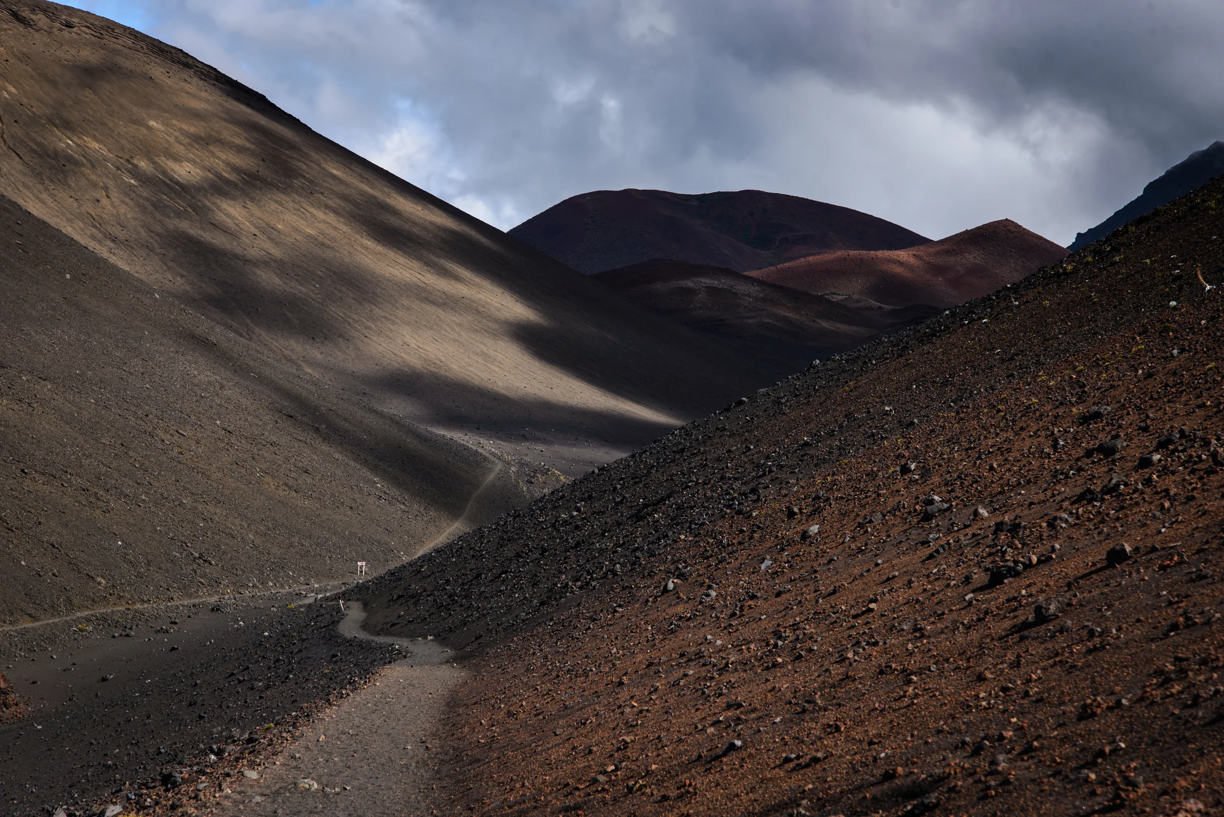PLP_Hawaii_2014-3.jpg