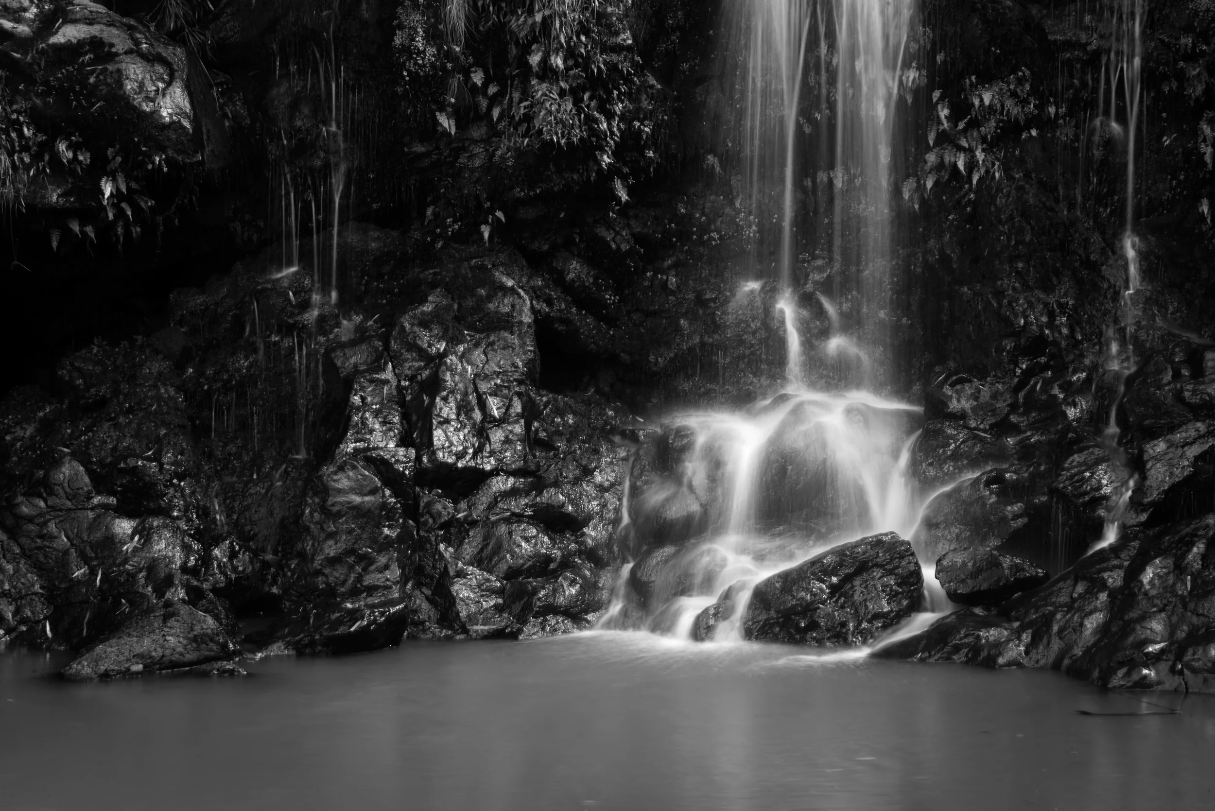 PLP_Hawaii_2014-19.jpg