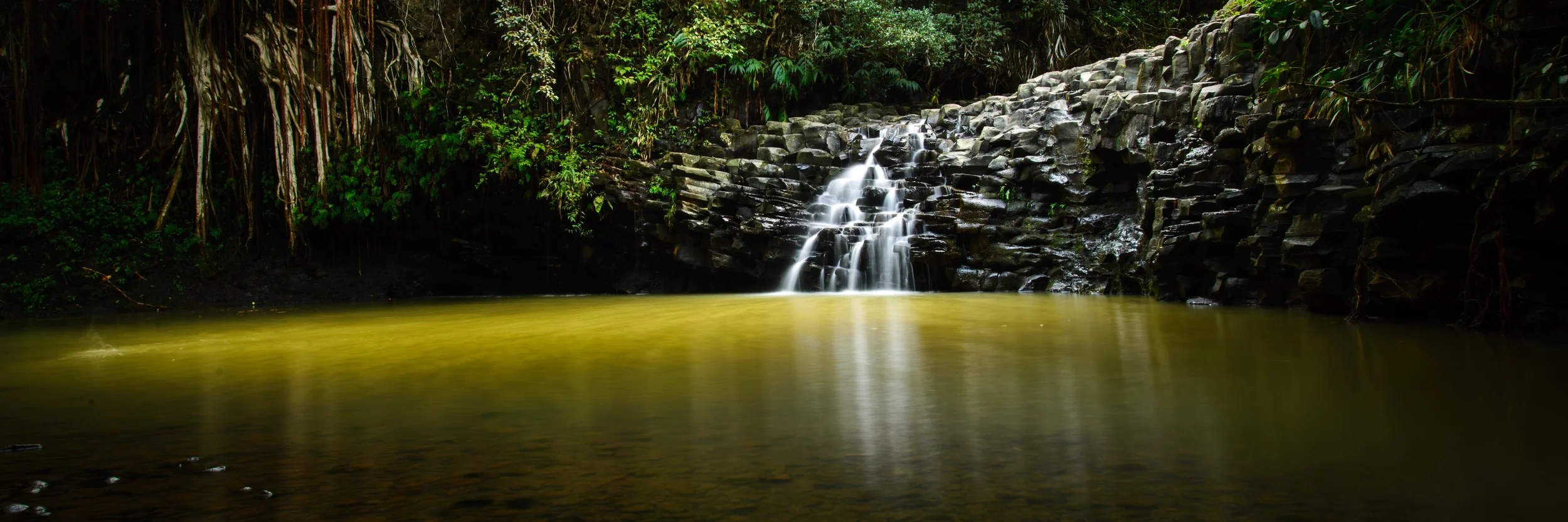 PLP_Hawaii_2014-24.jpg