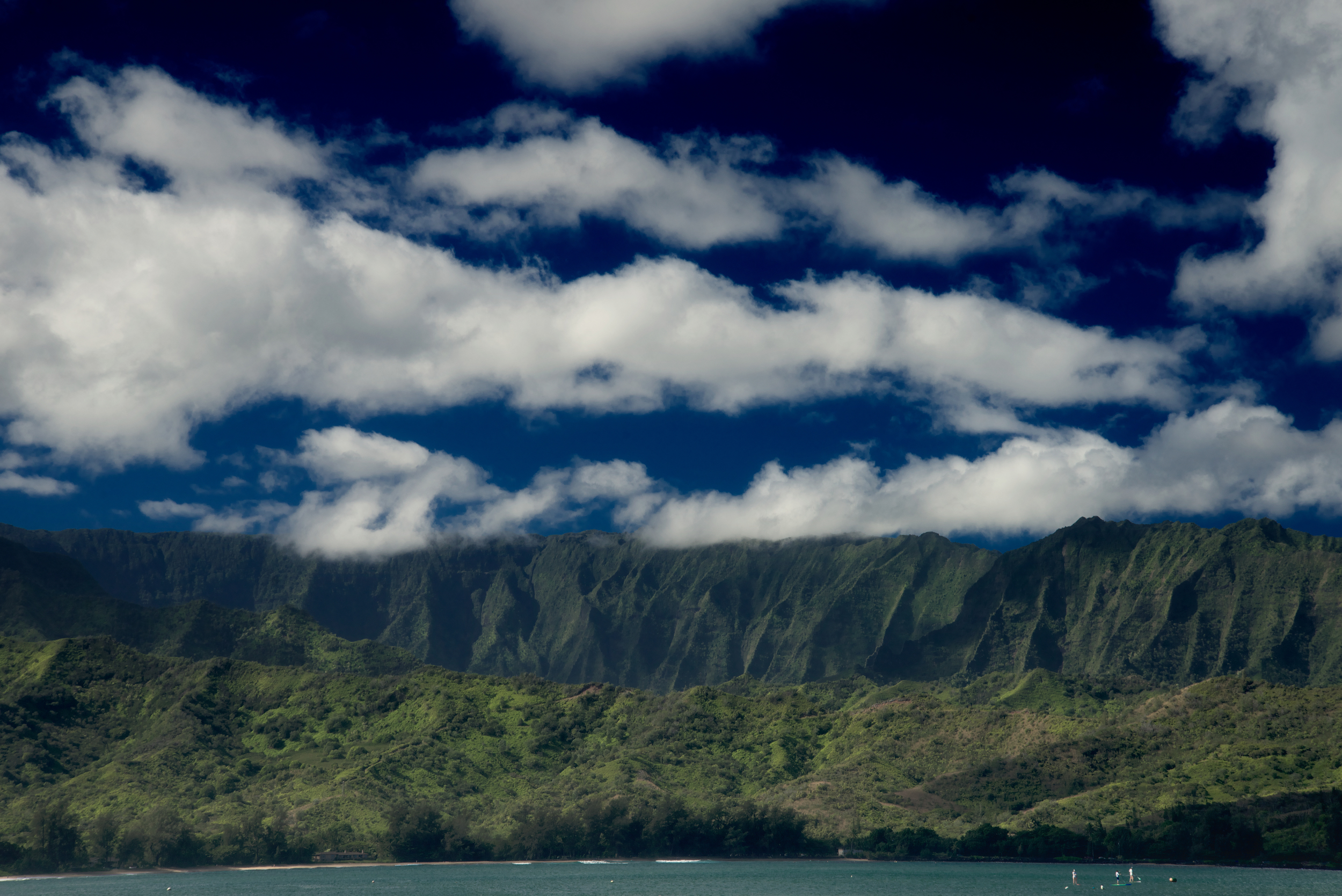 PLP_Hawaii_Kuaui_2014-1.jpg
