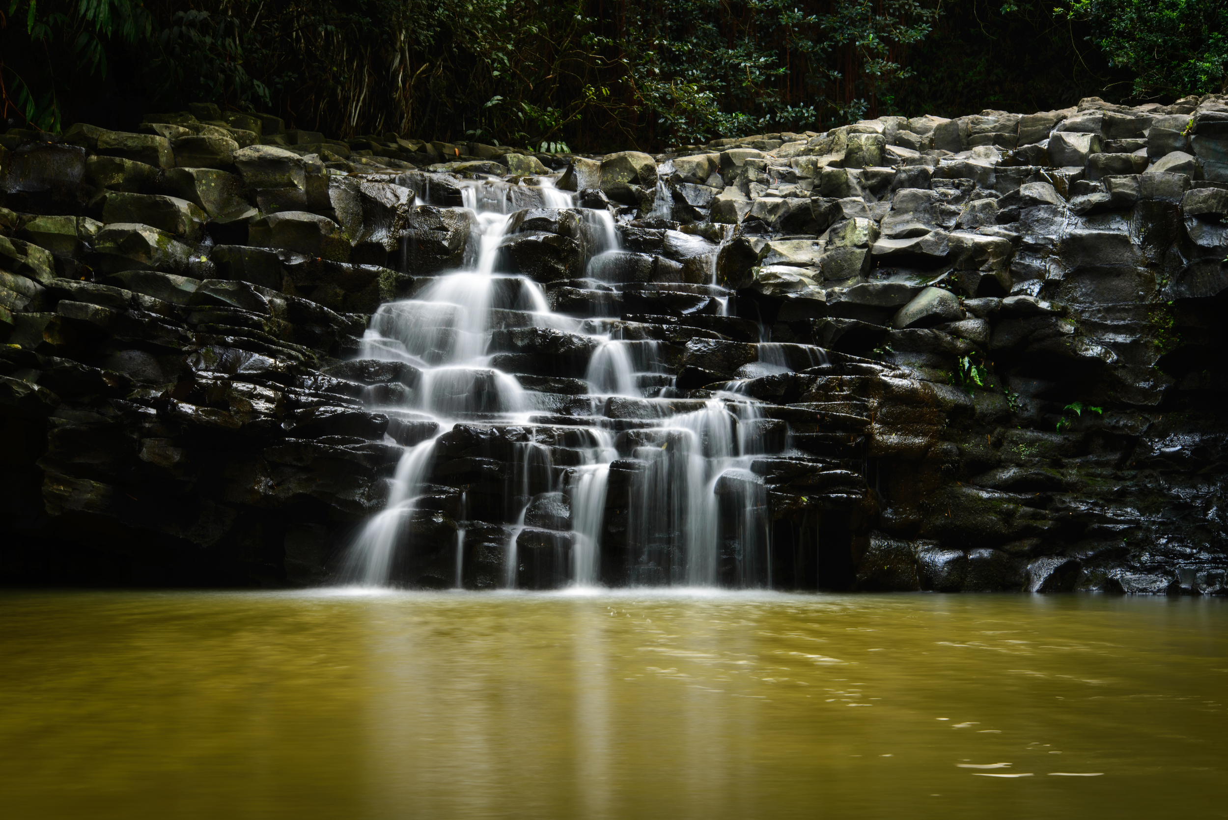 PLP_Hawaii_2014-25.jpg