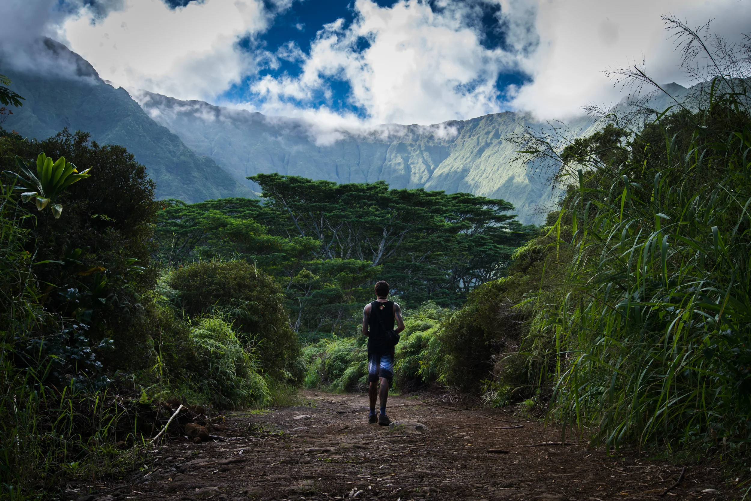 PLP_Hawaii_Kuaui_2014-5.jpg