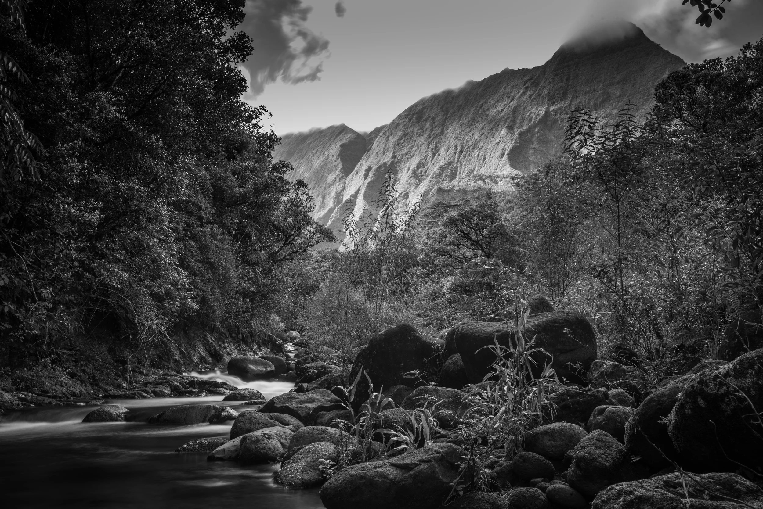 PLP_Hawaii_Kuaui_2014-4.jpg