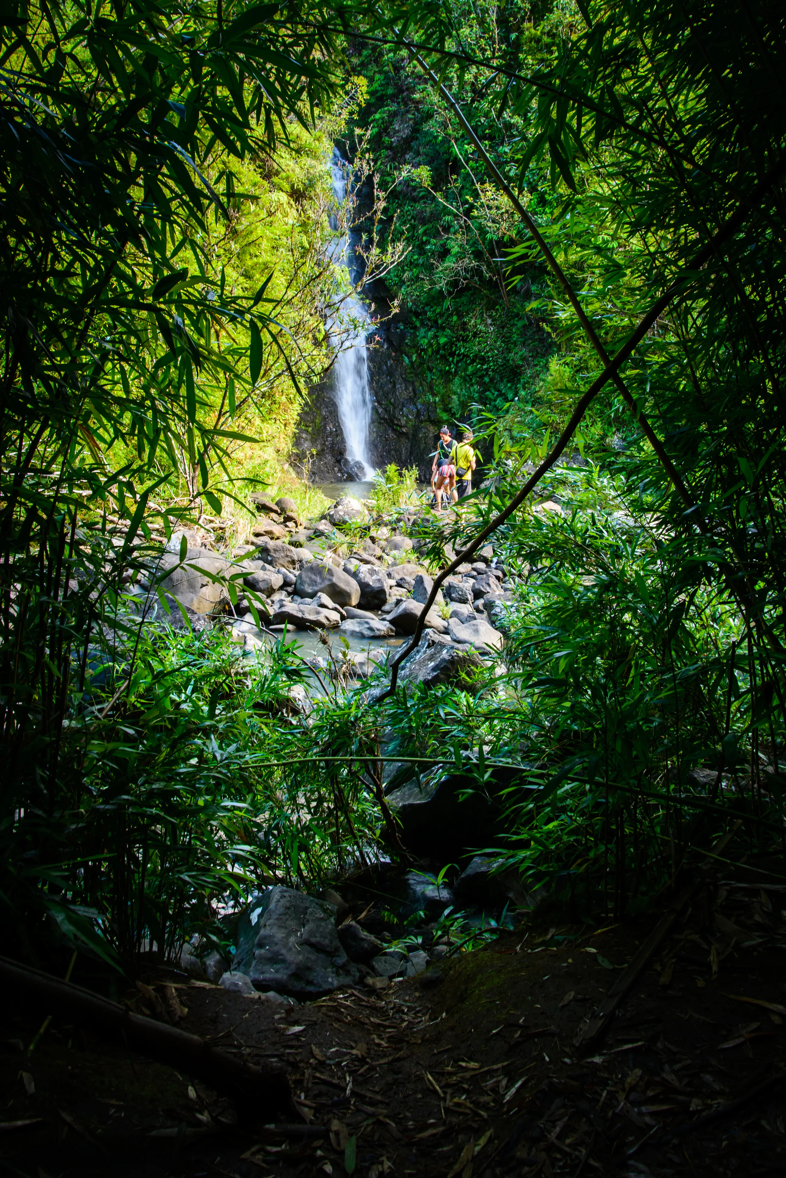 PLP_Hawaii_2014-20.jpg