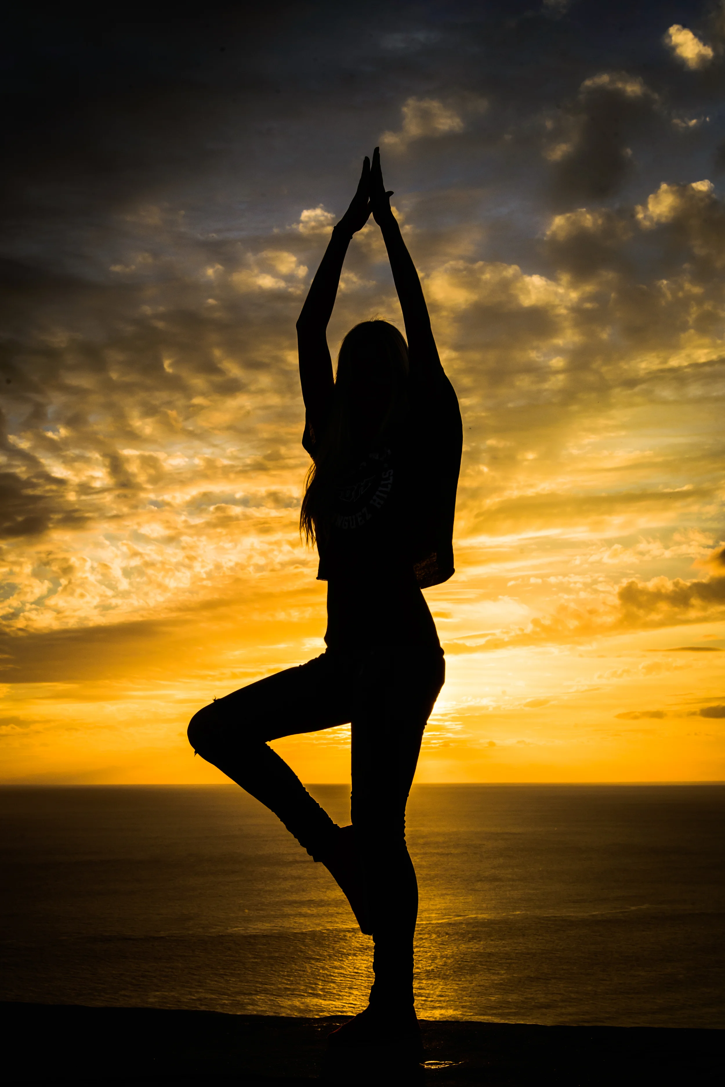 PLP_Hawaii_Kuaui_2014-8.jpg