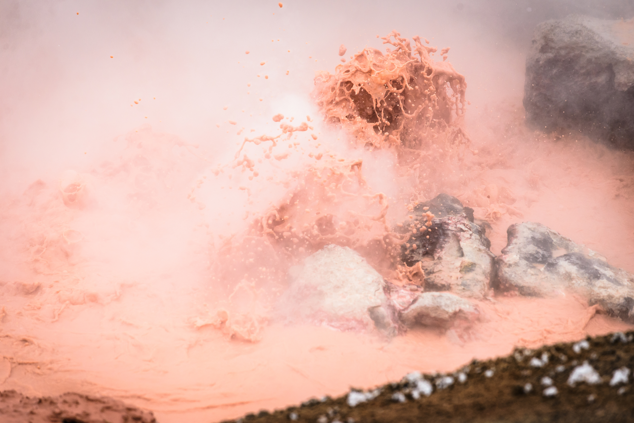 PLP_Yellowstone_2014-9.jpg