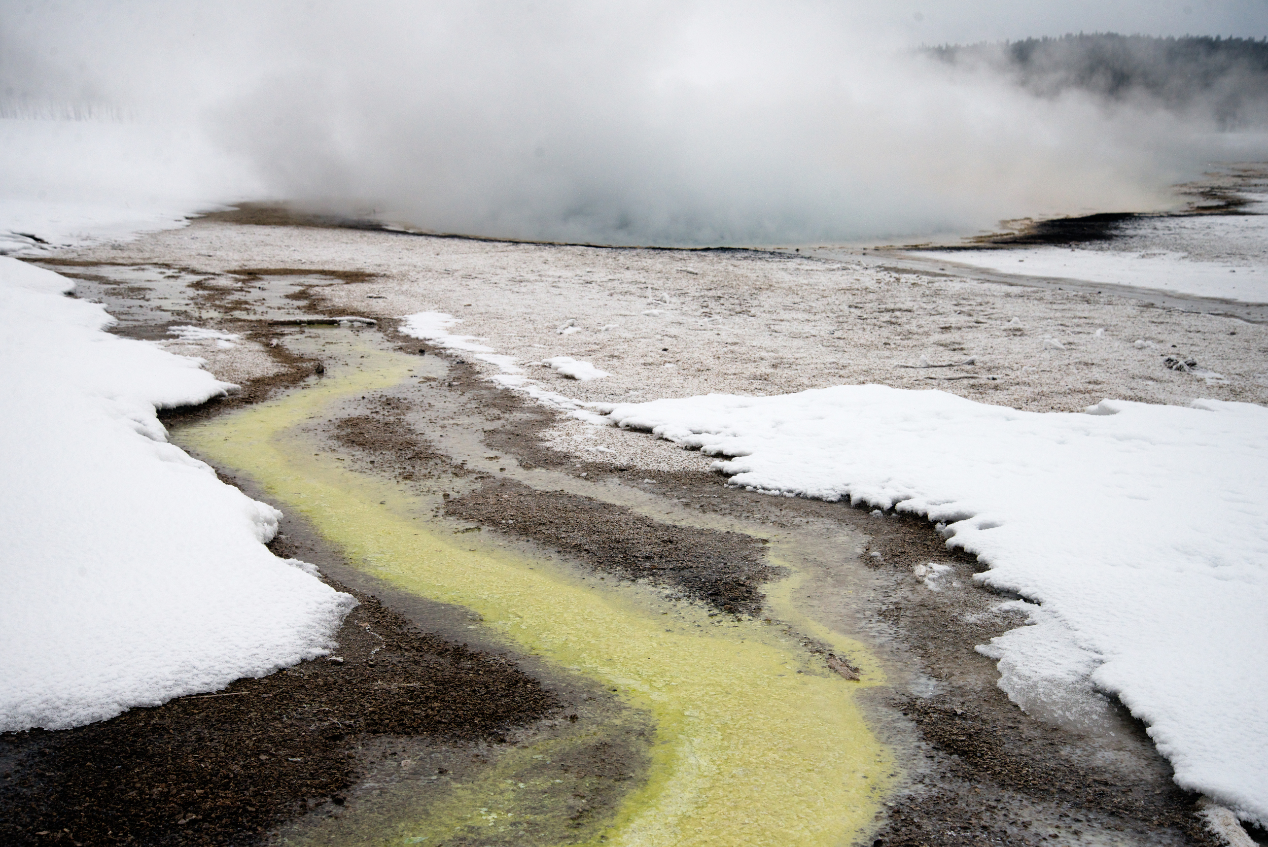 PLP_Yellowstone_2014-18.jpg