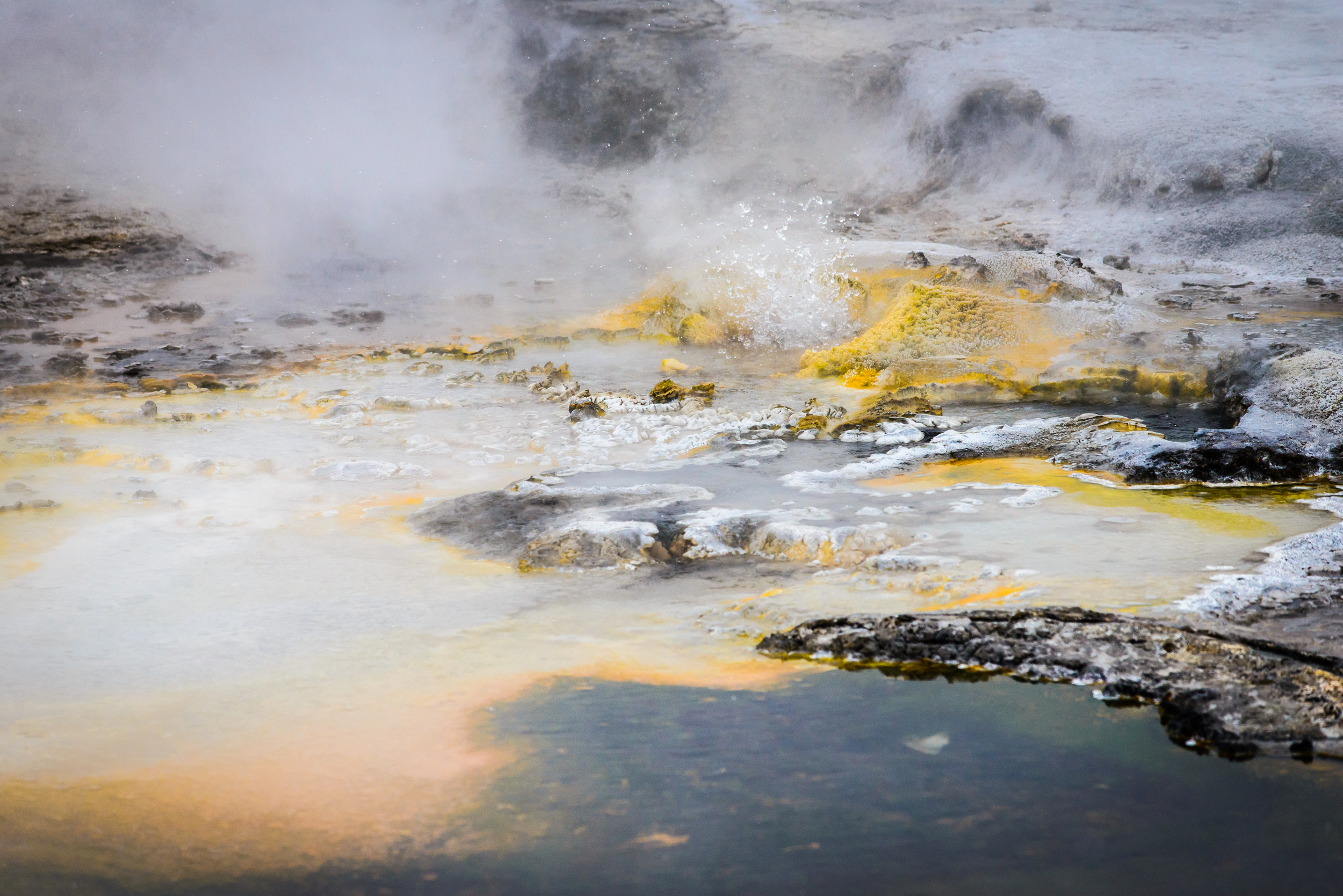 PLP_Yellowstone_2014-20.jpg