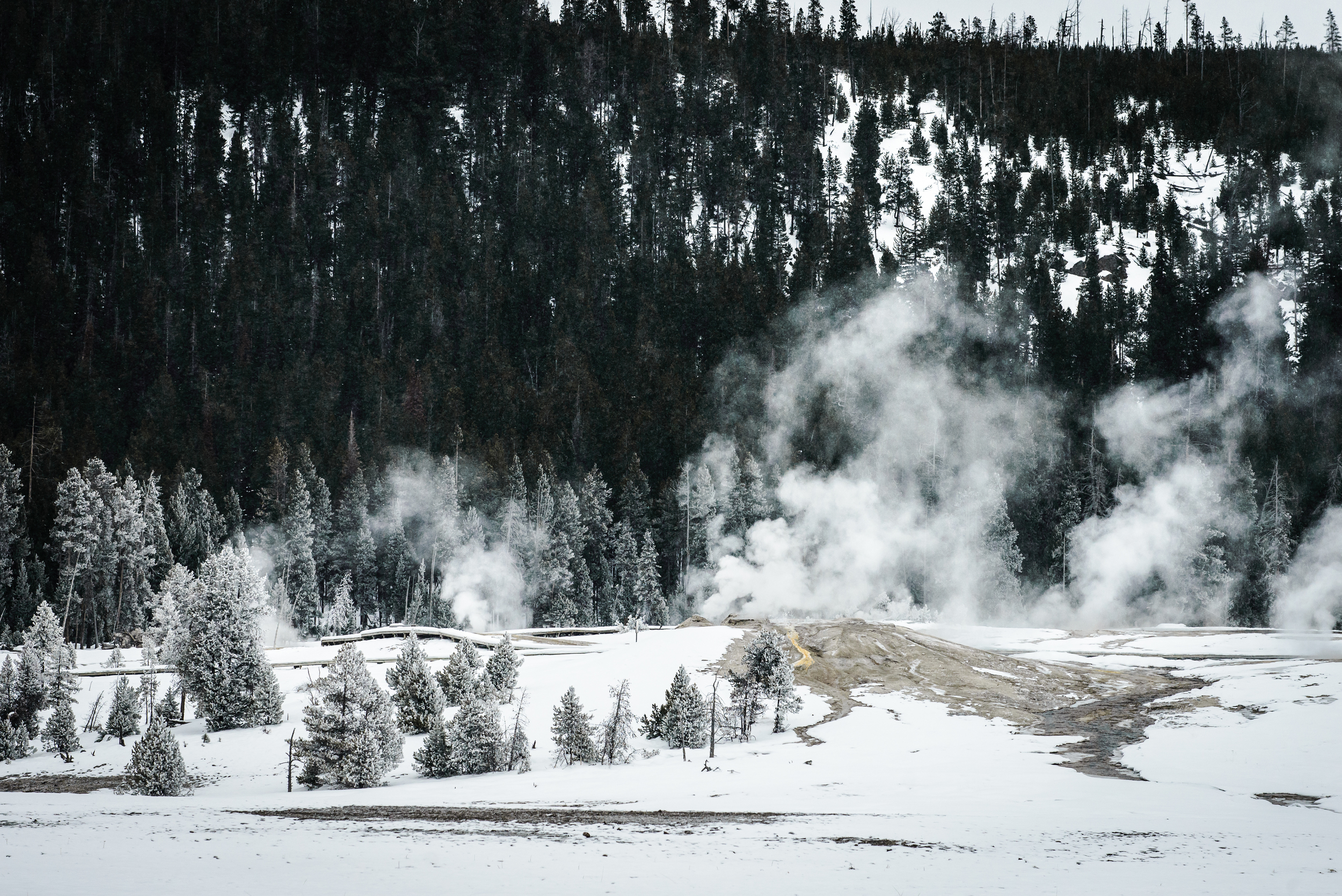 PLP_Yellowstone_2014-25.jpg