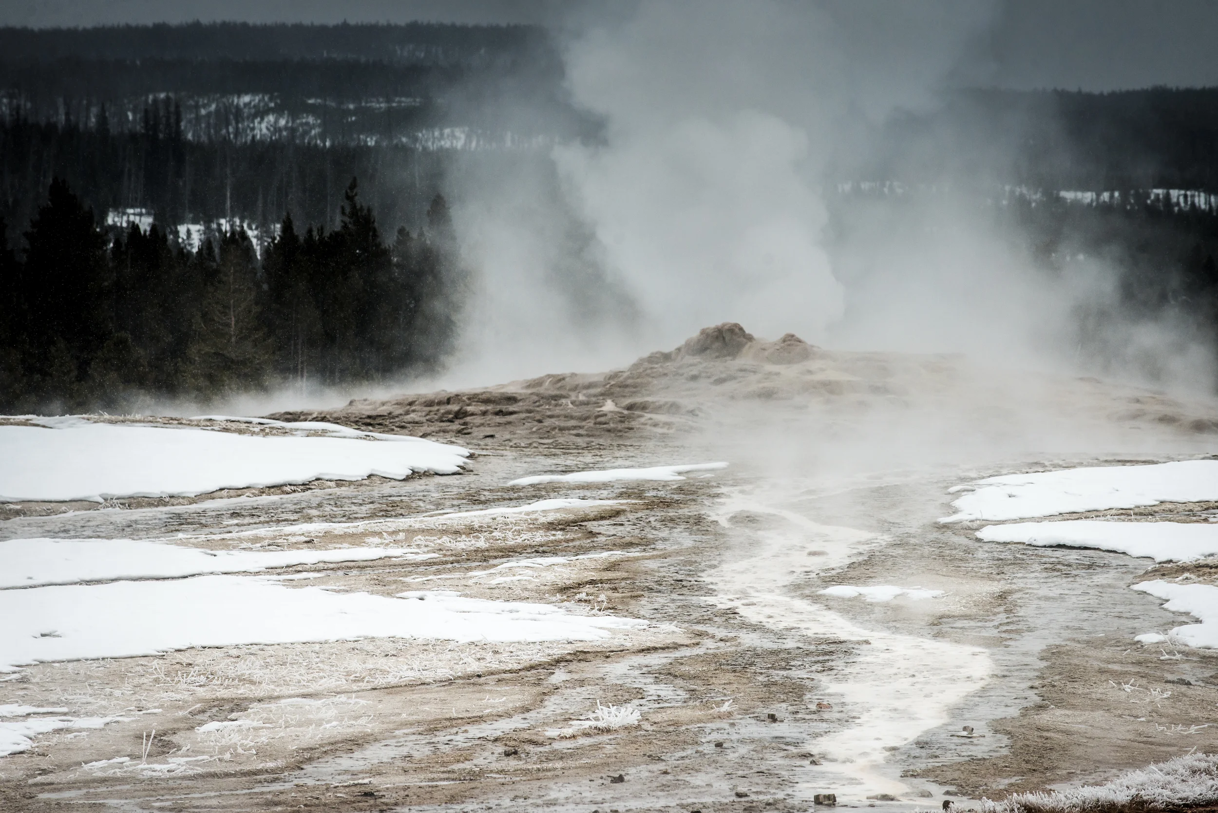 PLP_Yellowstone_2014-26.jpg