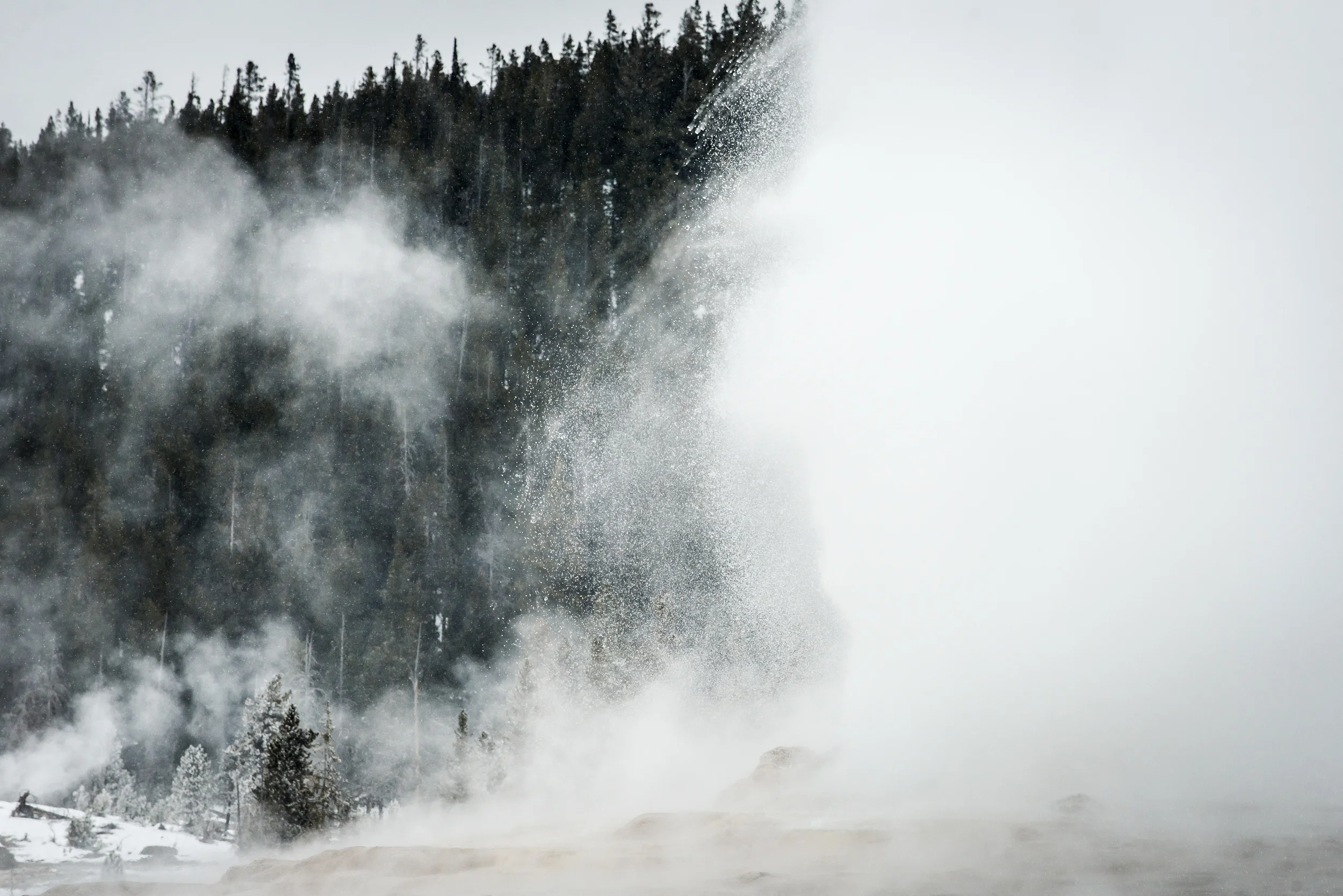 PLP_Yellowstone_2014-28.jpg