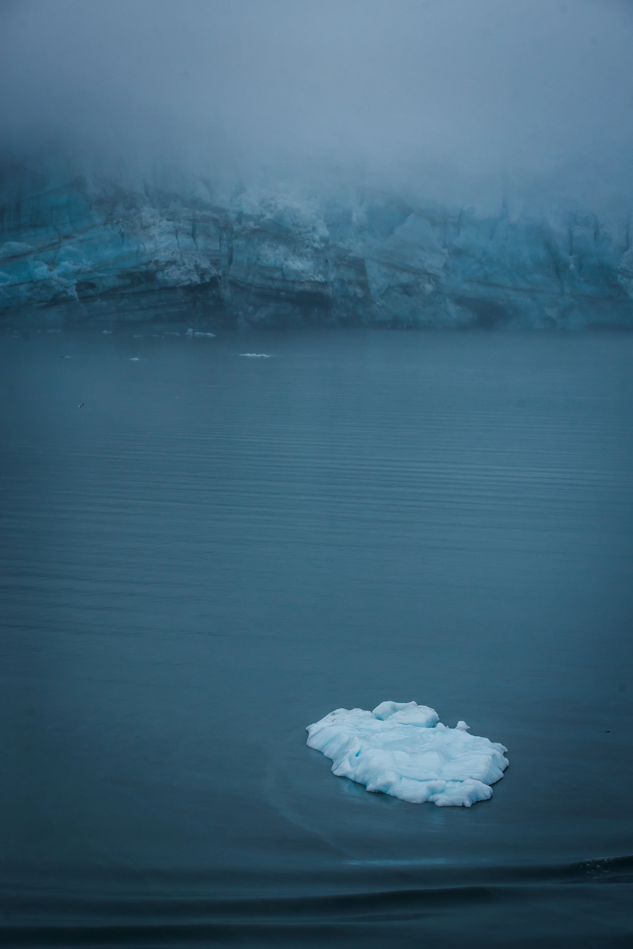 PLP_Alaska_2013-7.jpg