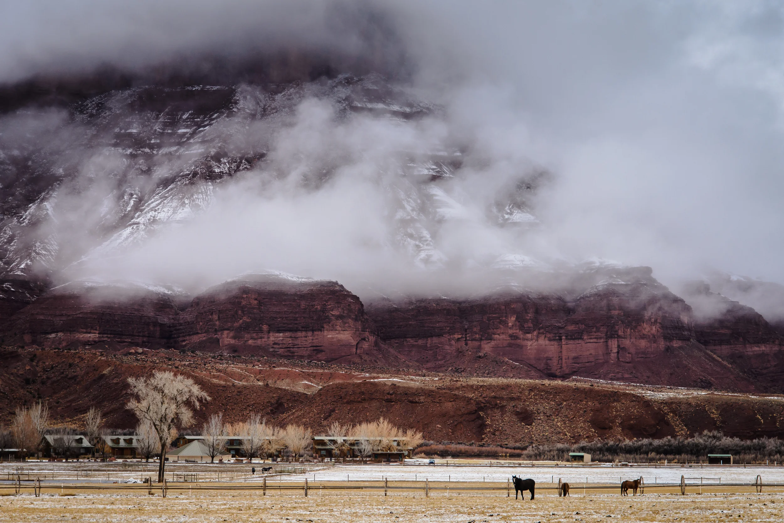 PLP_Roadtrip_US_2014-52.jpg