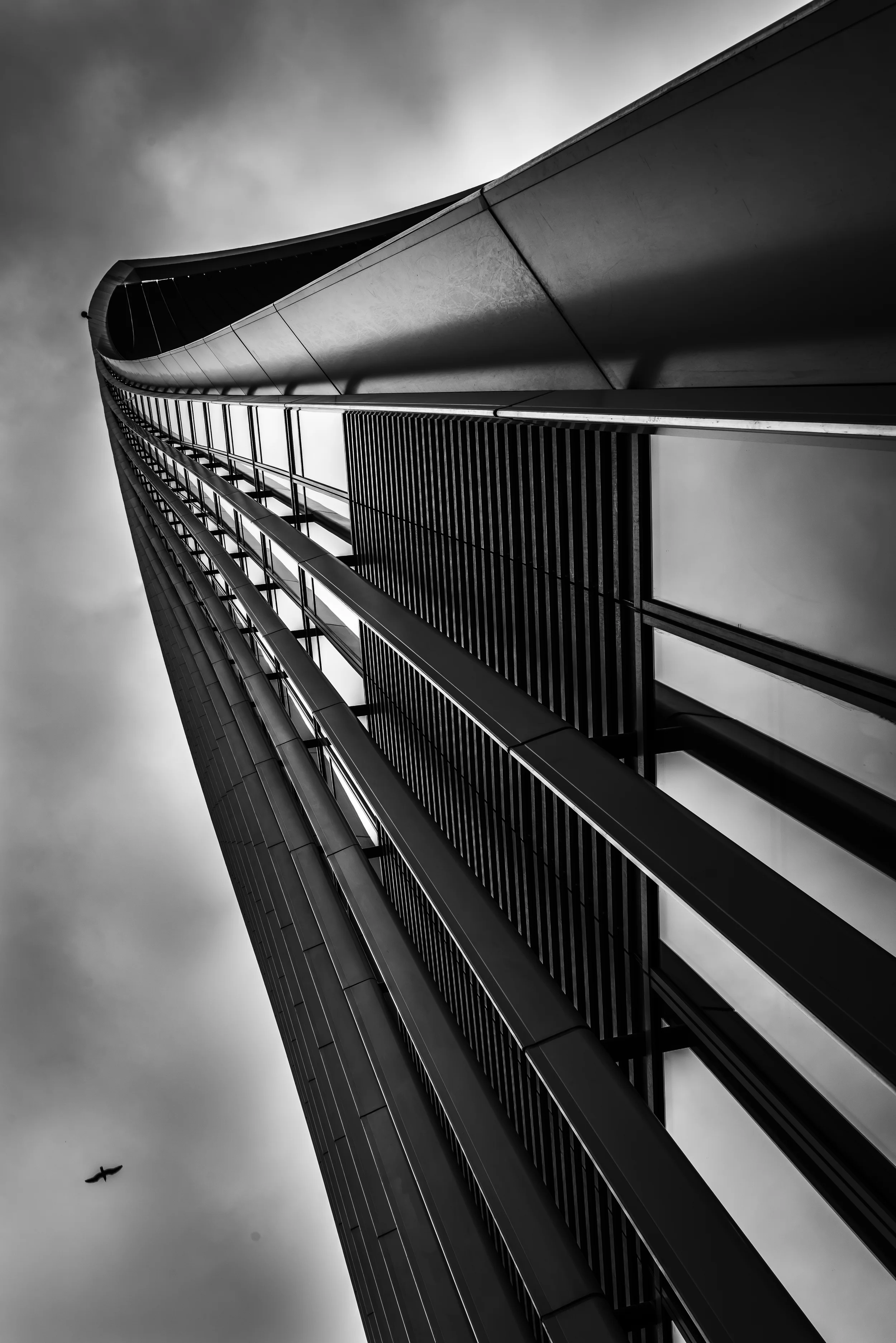 PLP_5696.jpg