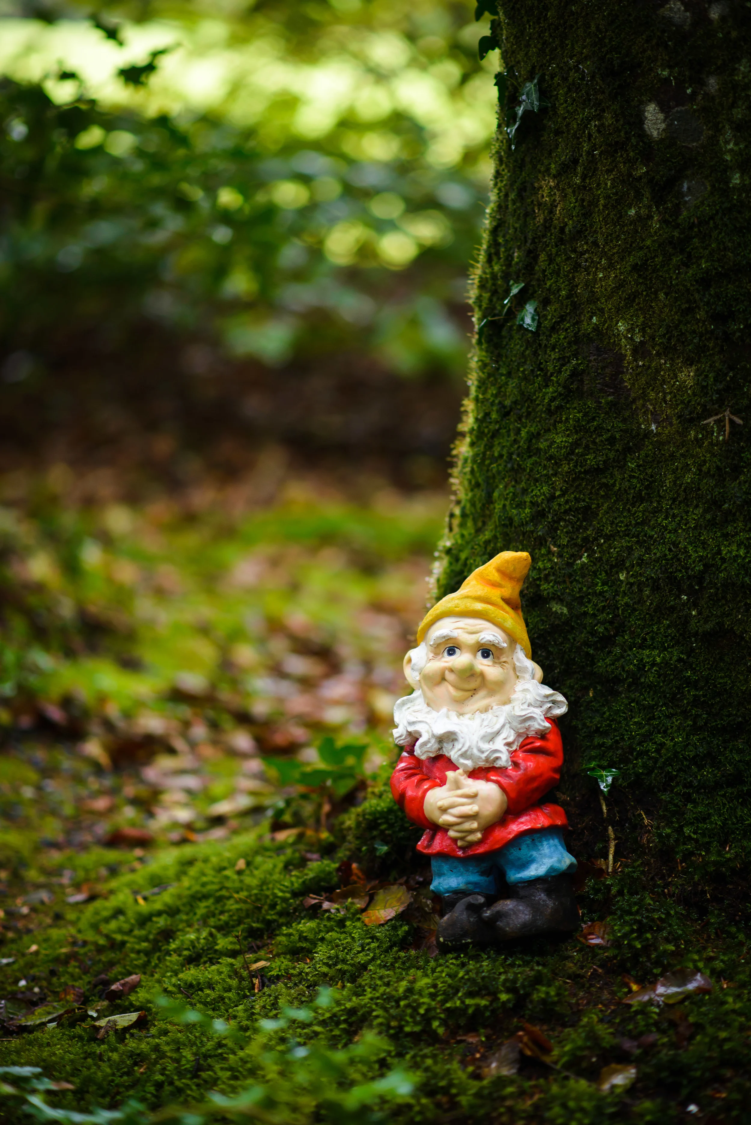 GnomeReserve_Sept15_PLP-3.jpg