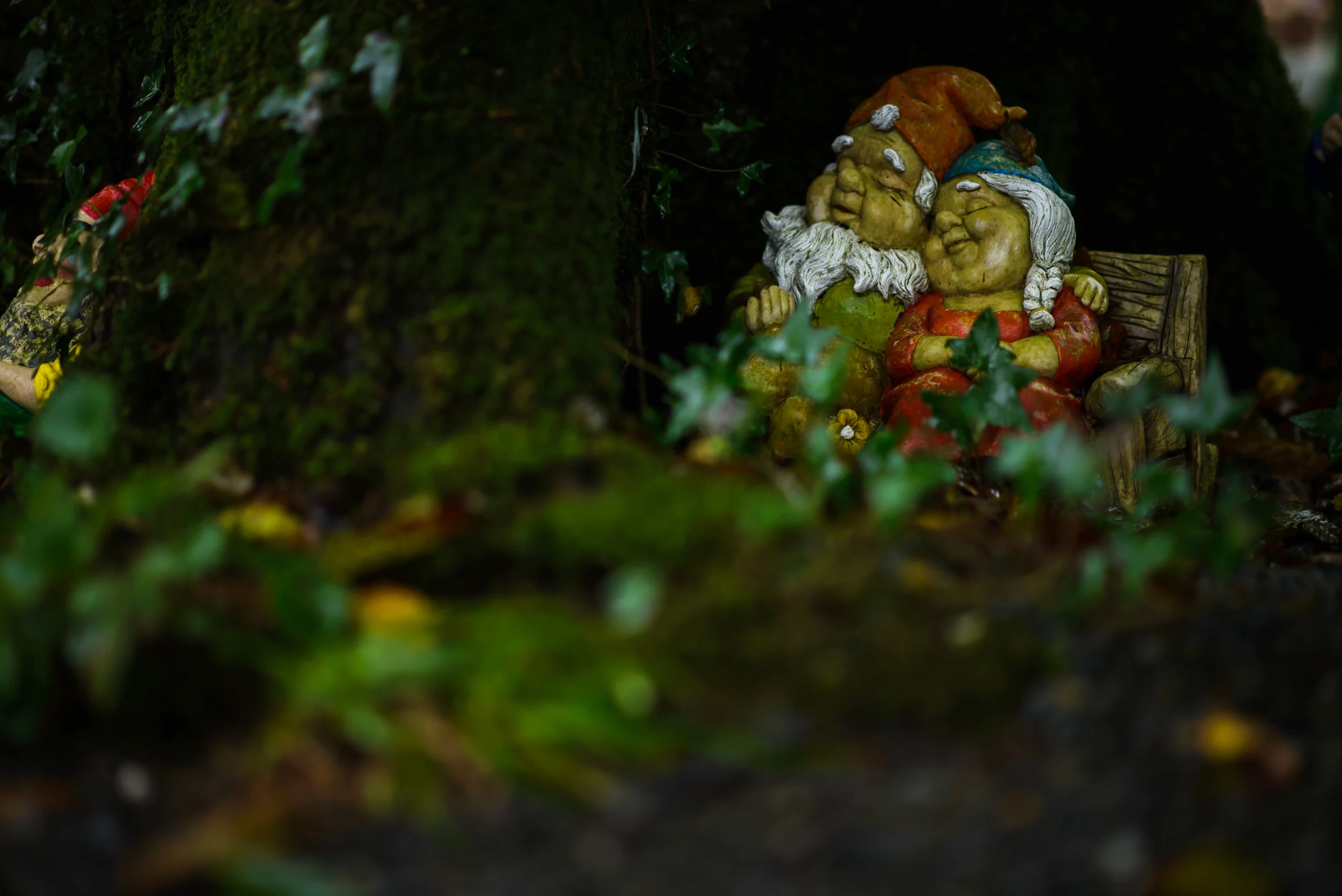 GnomeReserve_Sept15_PLP-5.jpg