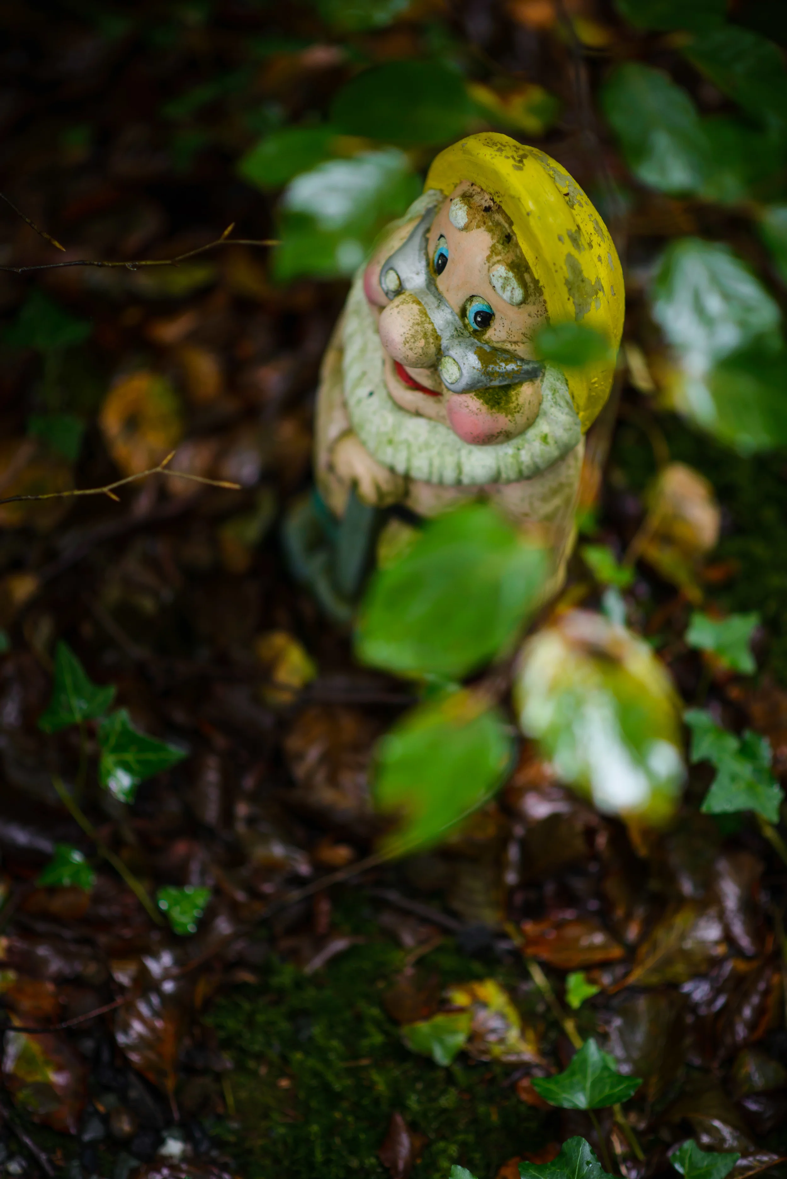GnomeReserve_Sept15_PLP-7.jpg