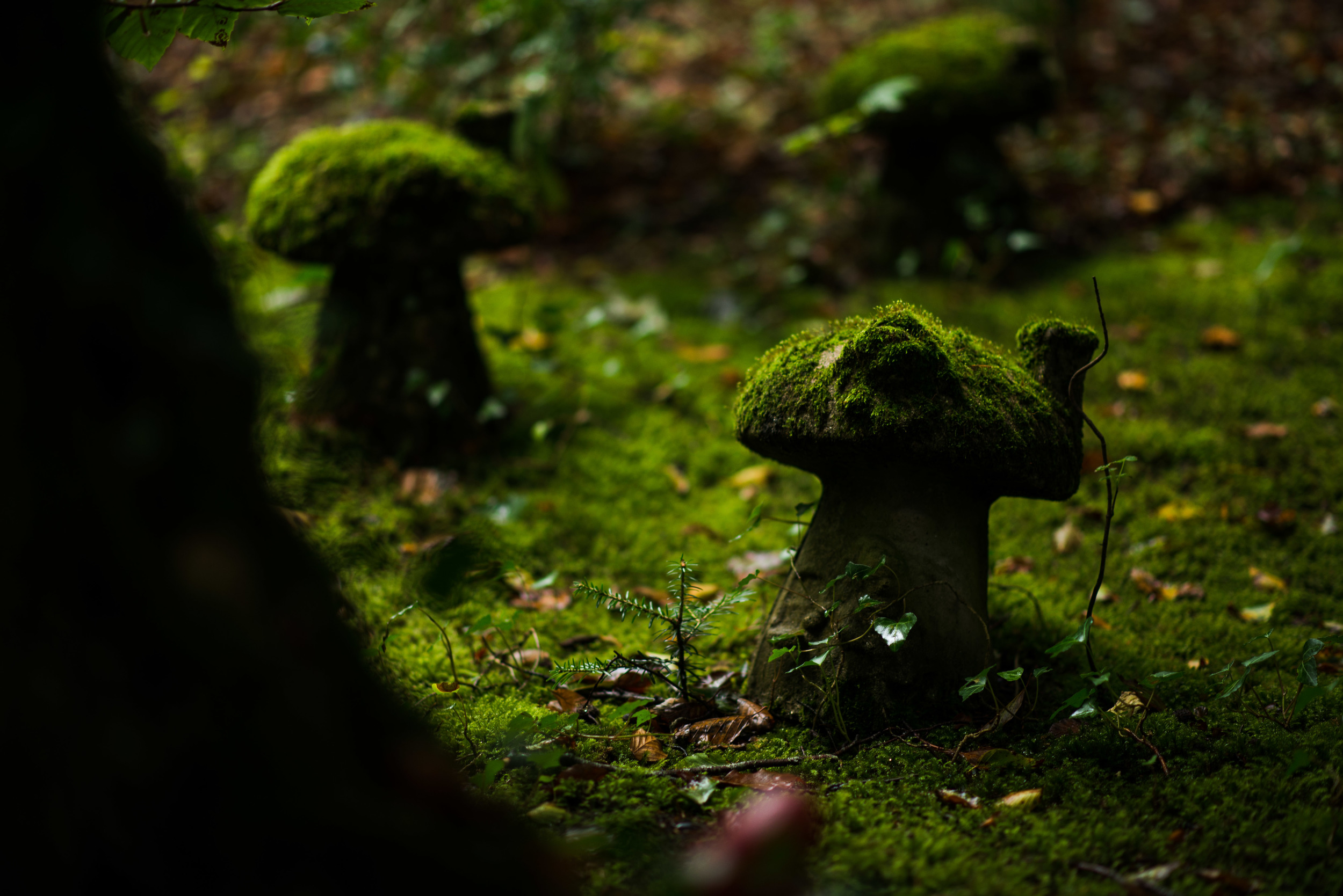 GnomeReserve_Sept15_PLP-8.jpg