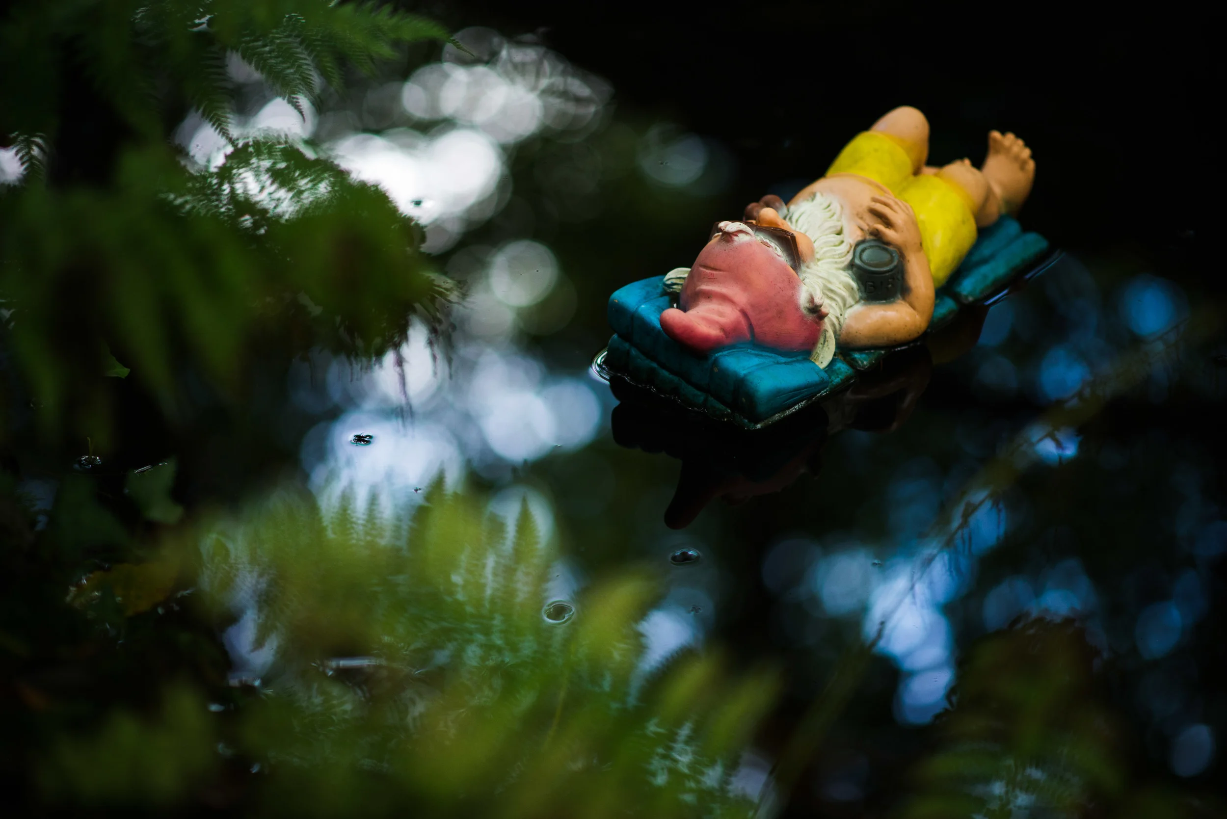 GnomeReserve_Sept15_PLP-16.jpg