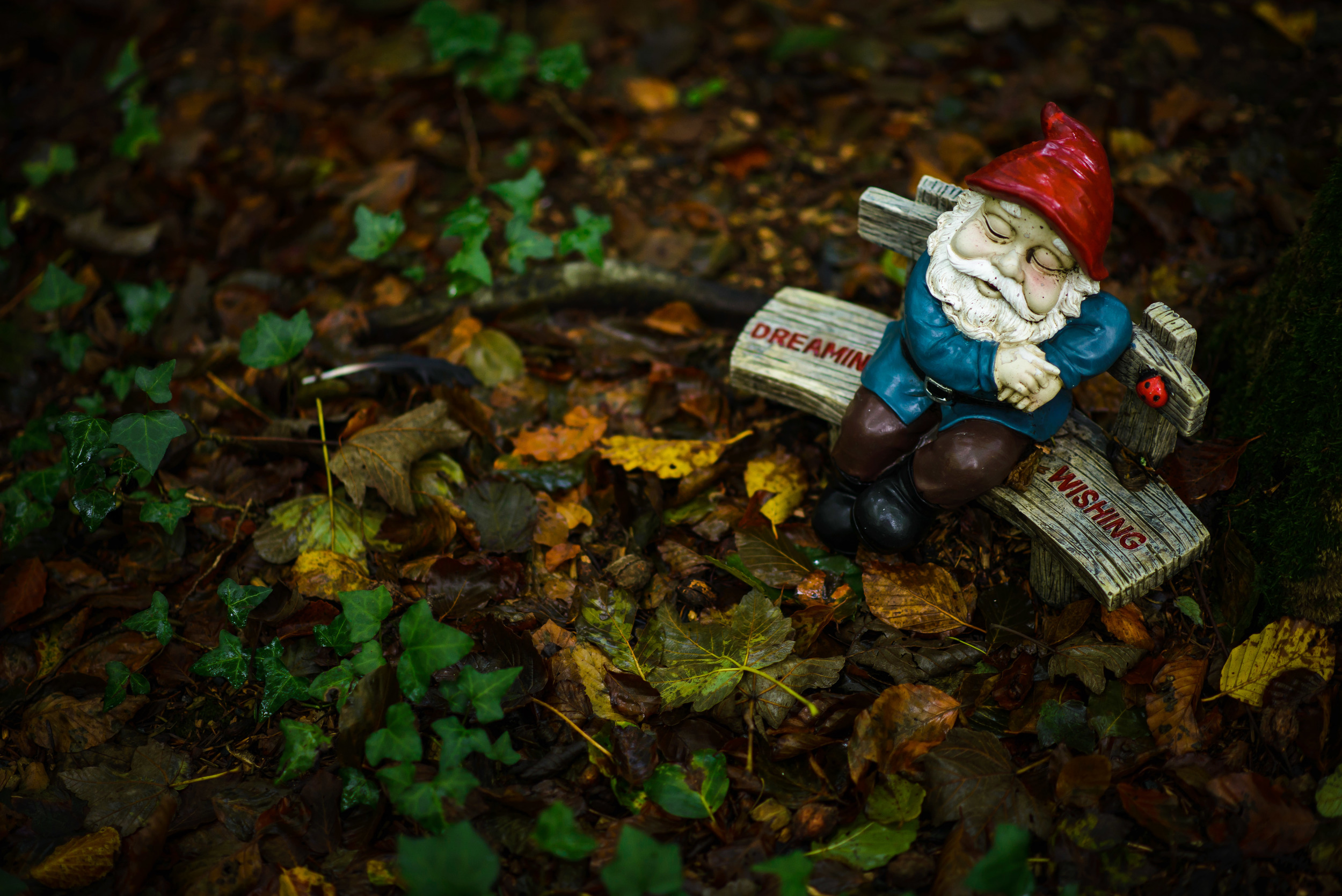 GnomeReserve_Sept15_PLP-15.jpg