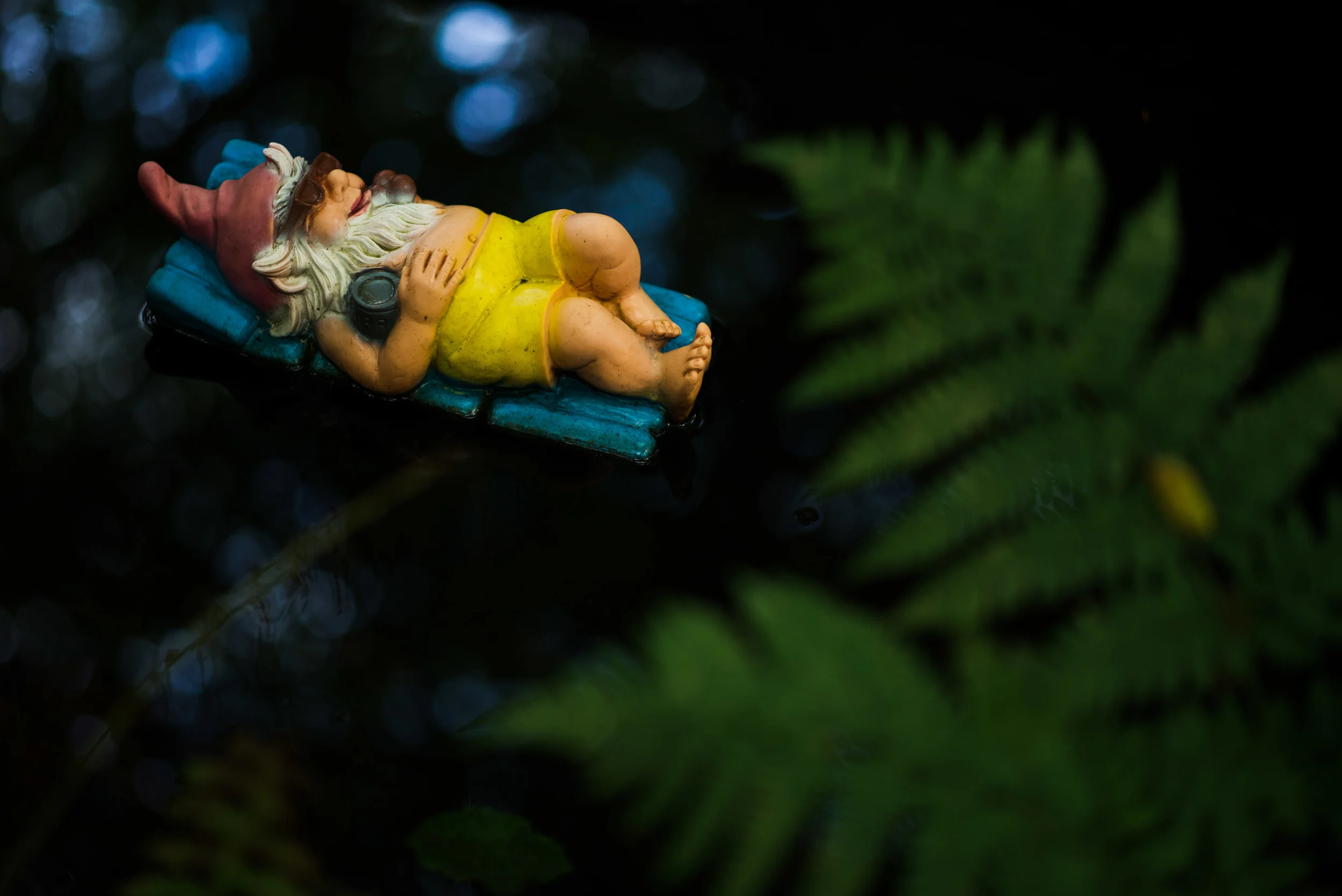 GnomeReserve_Sept15_PLP-17.jpg