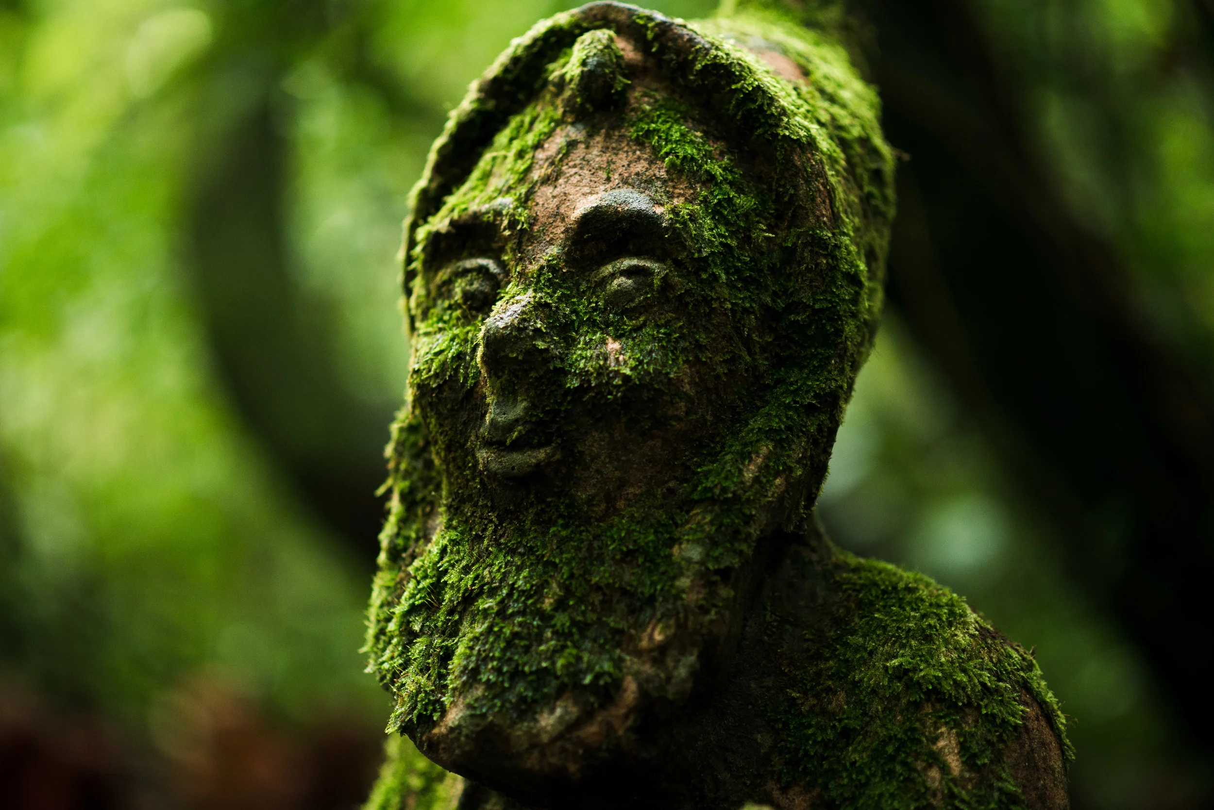 GnomeReserve_Sept15_PLP-23.jpg